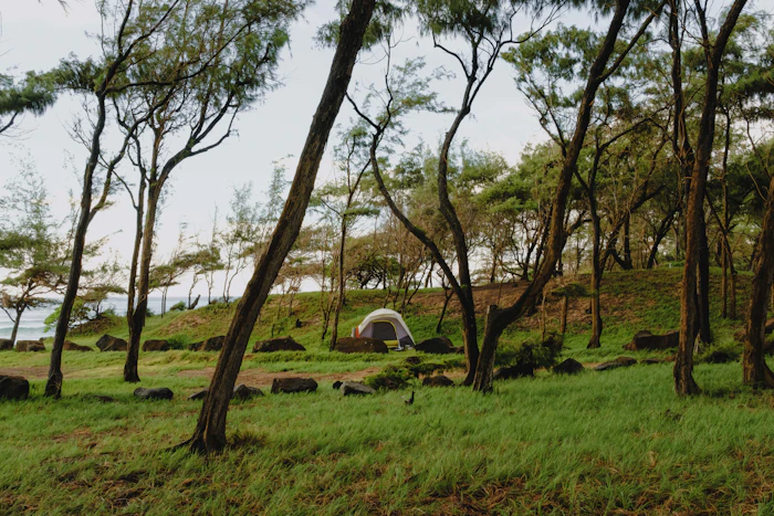 Unique Glamping Spots