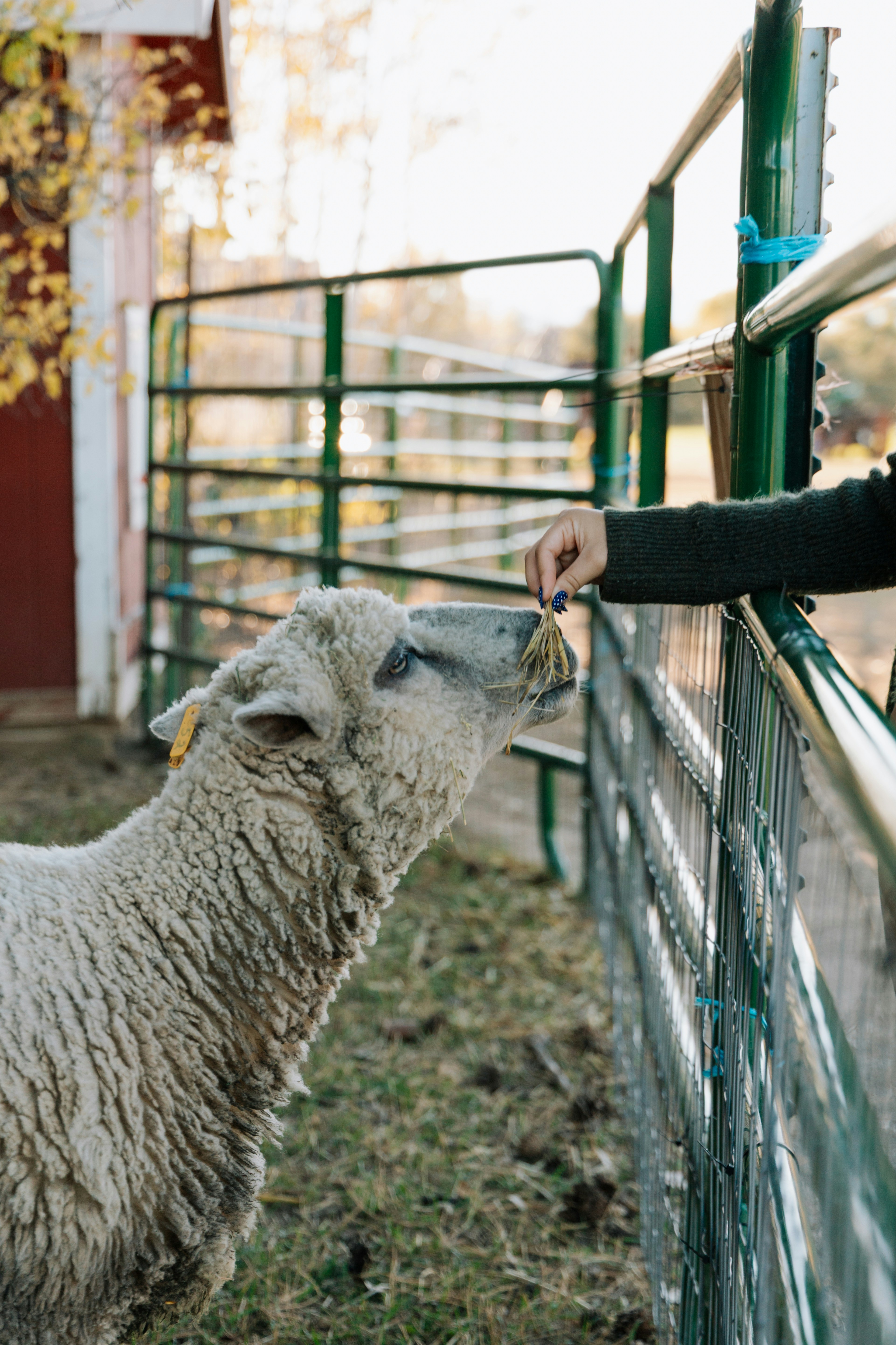 Advanced Pastoral Mentoring & Confidential Care in 2026: AI, Micro‑Mentoring, and Privacy‑First Workflows