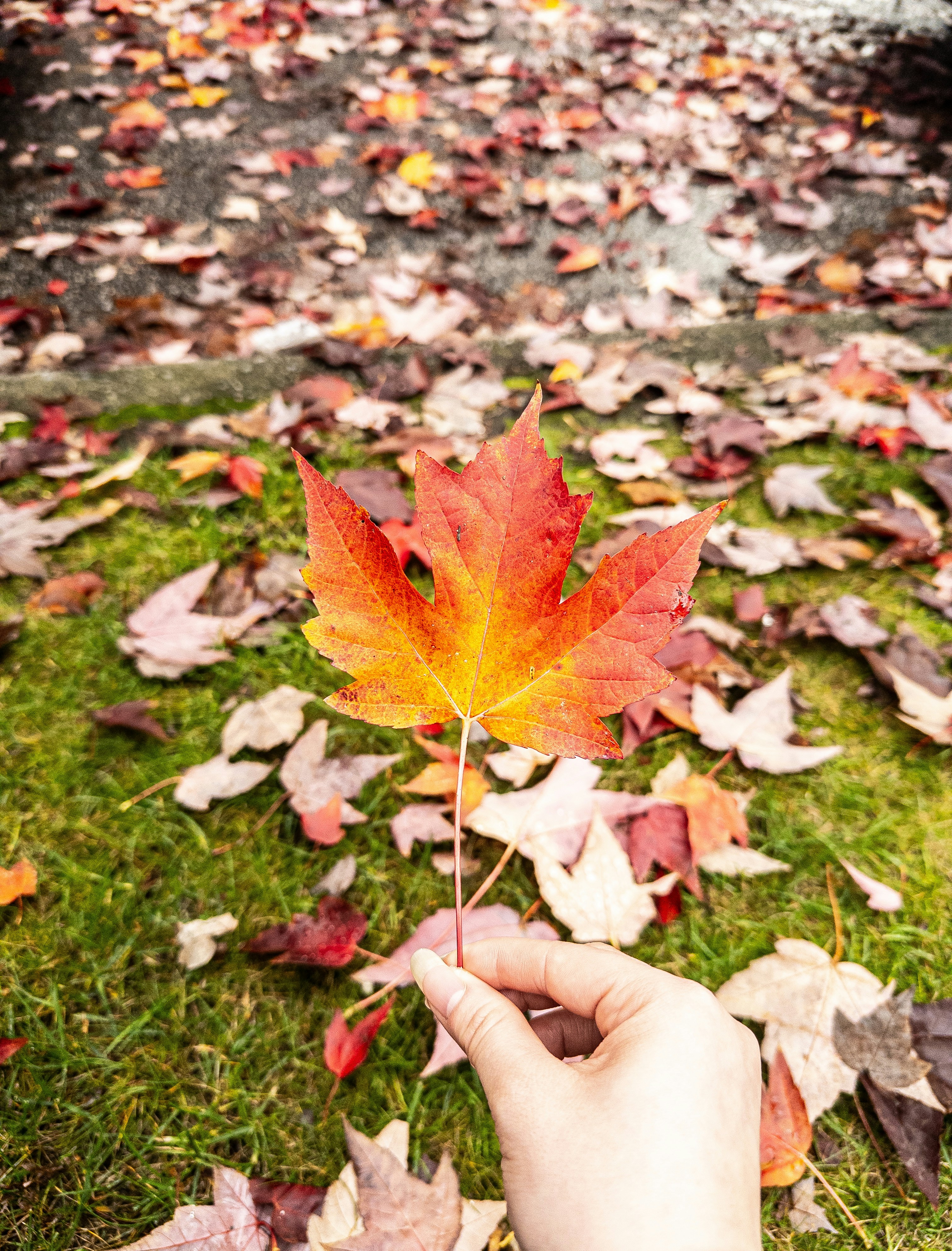 Photo by s_twirer721