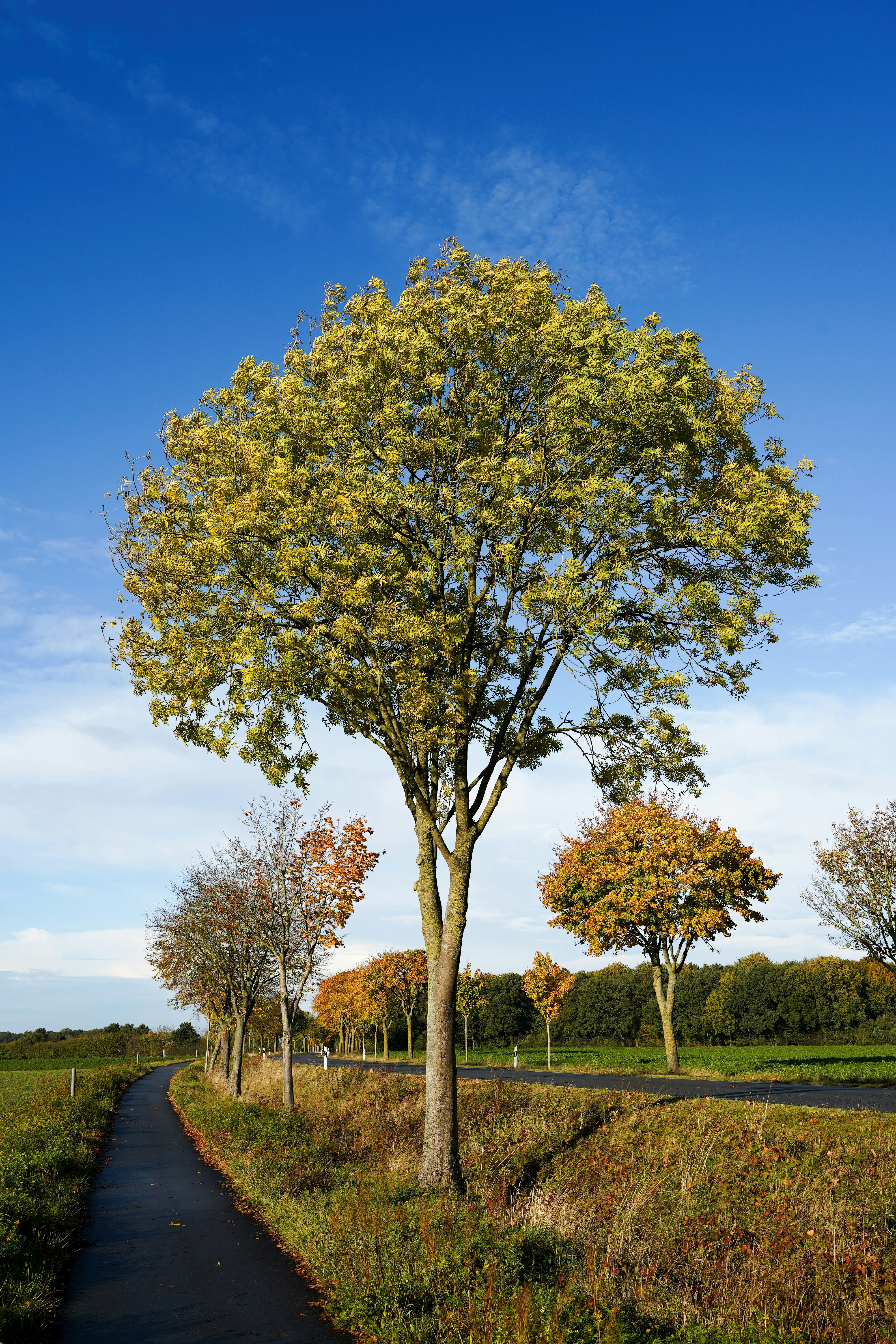 Photo by hamburgmeinefreundin