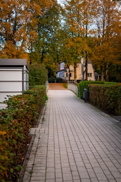 A paved walkway leads to houses surrounded by autumn trees.