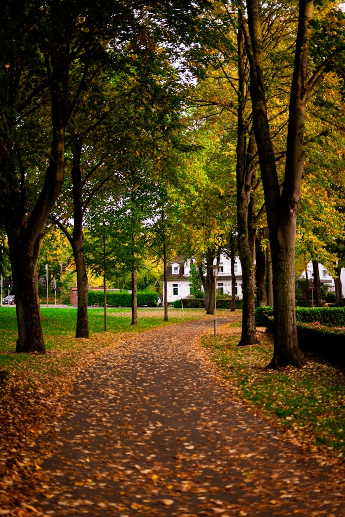 Crescent Hill Louisville reservoir park historic neighbourhood