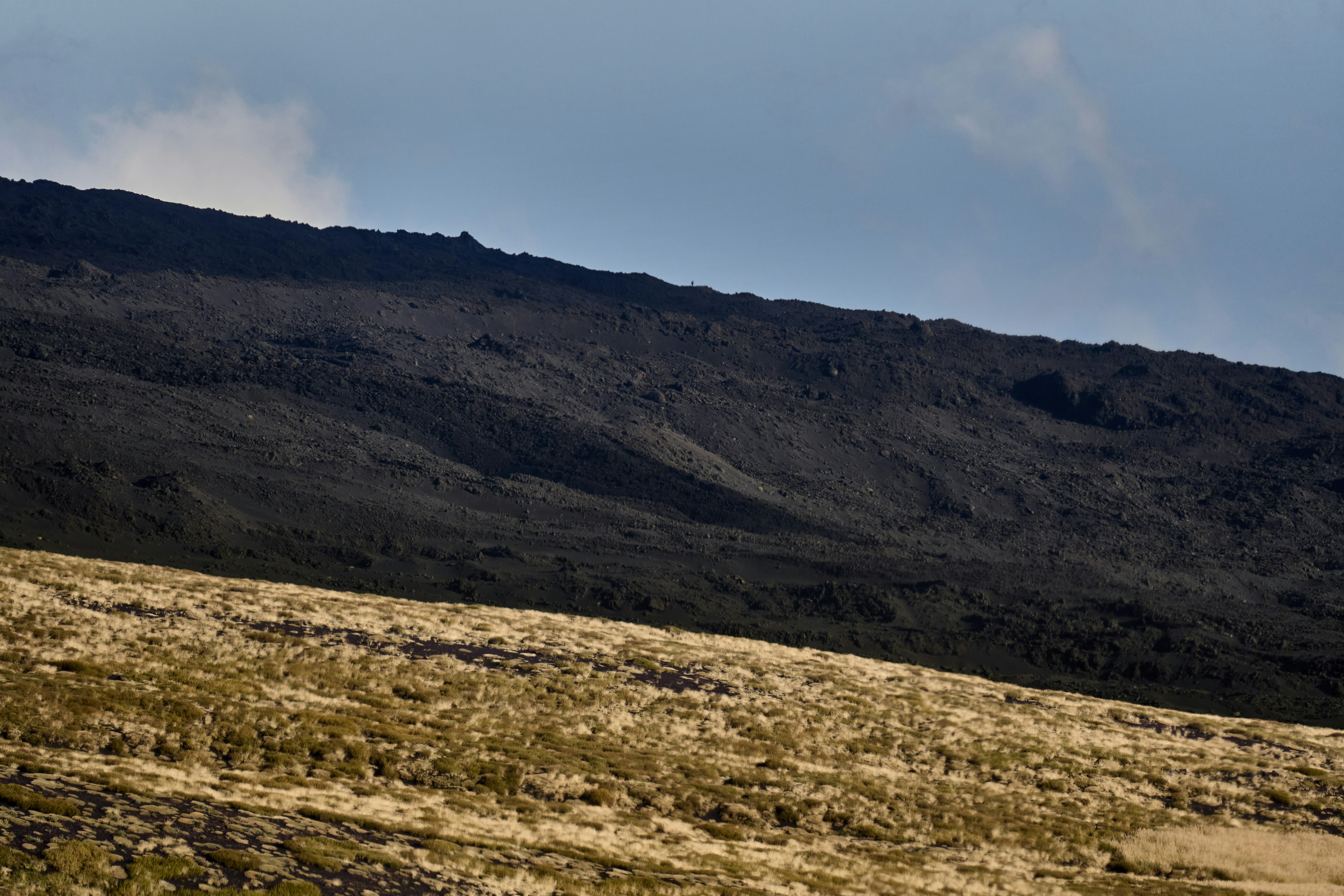 Photo by wolfgang_hasselmann