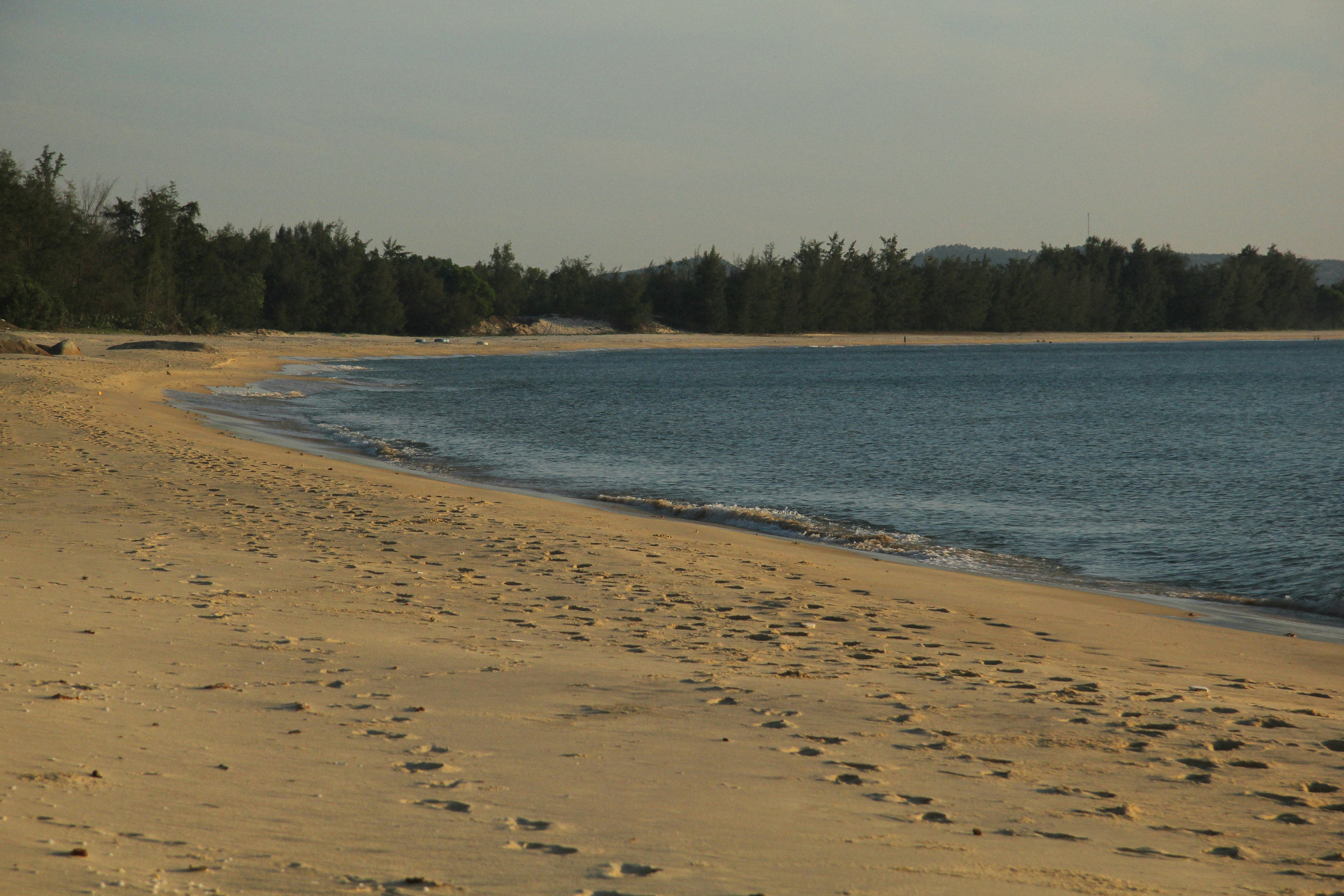 Sandy beach with gentle waves and distant trees.