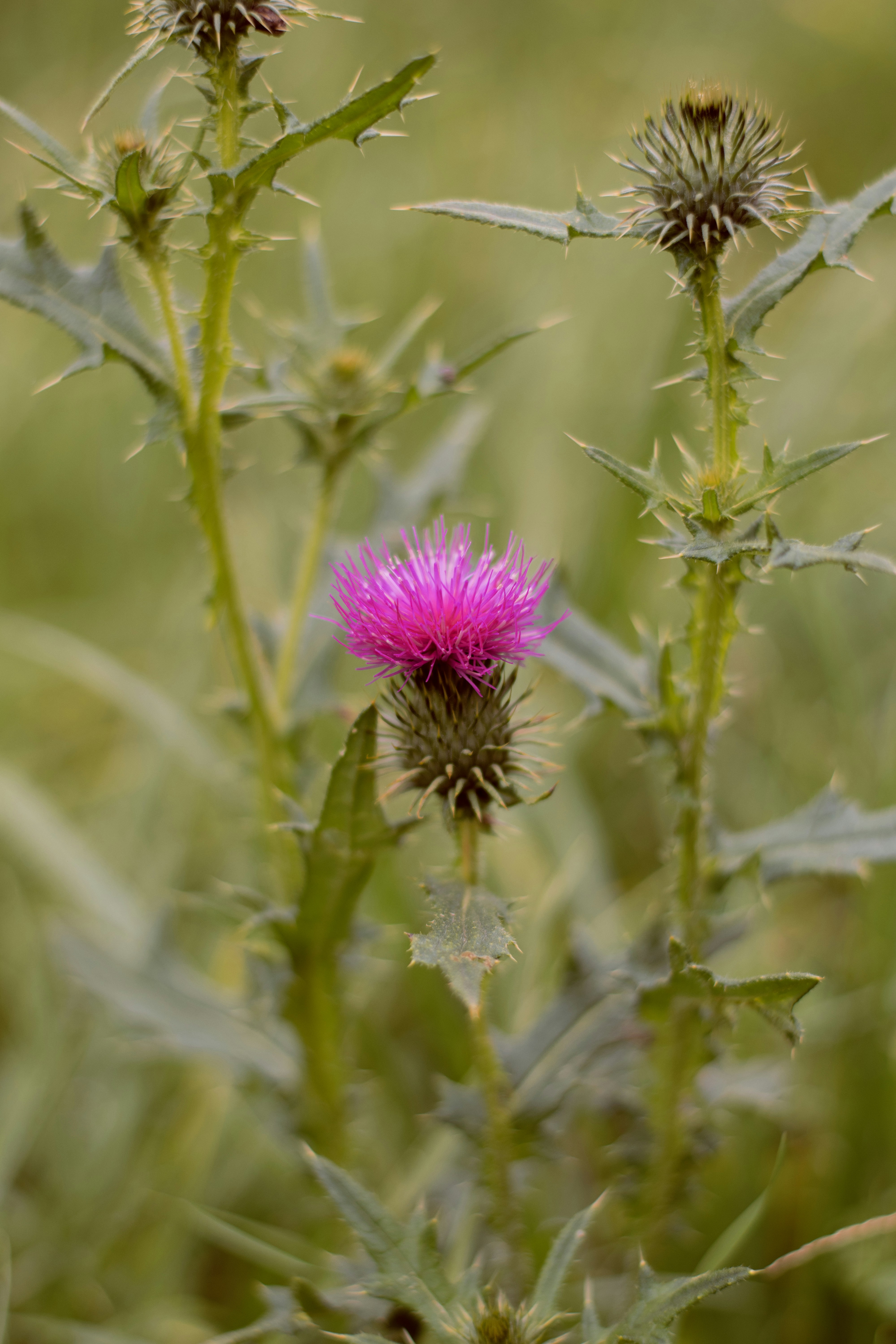 Photo by karynaviktori