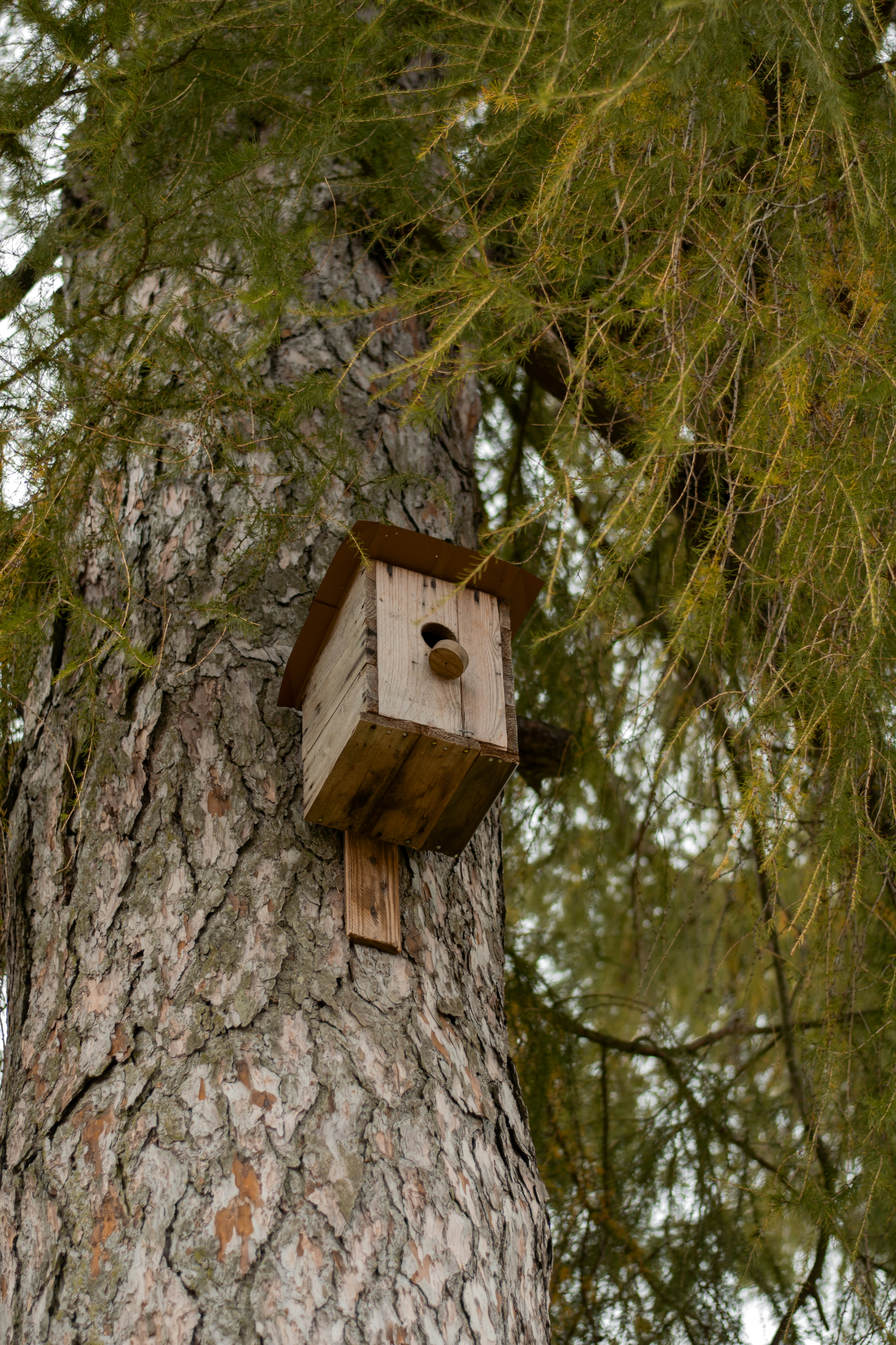 Photo by karynaviktori