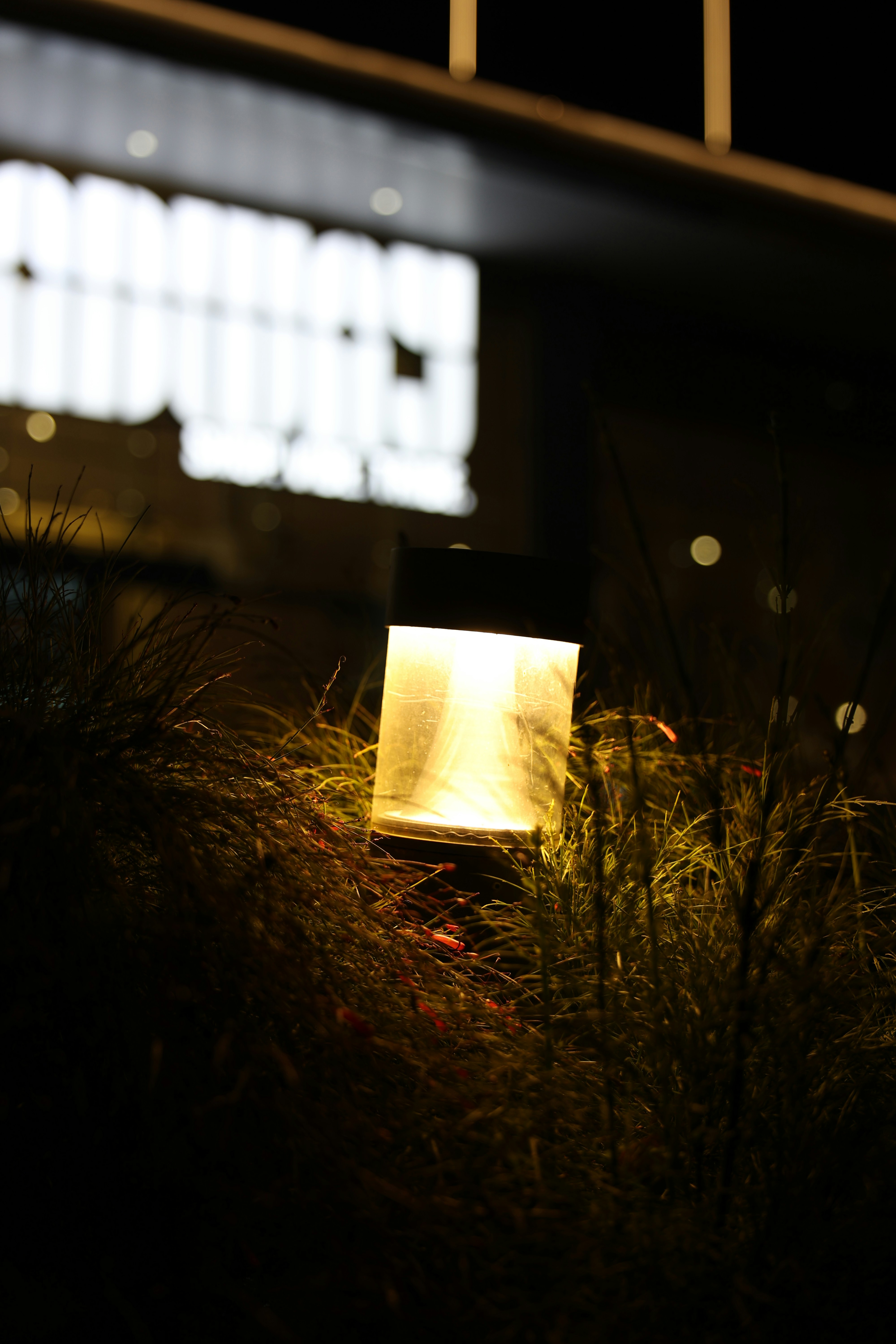 Photo by aditya_sethia_97