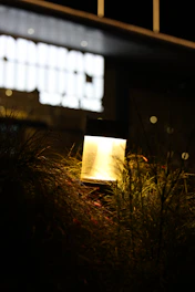 A garden lamp glows at night amidst tall grass