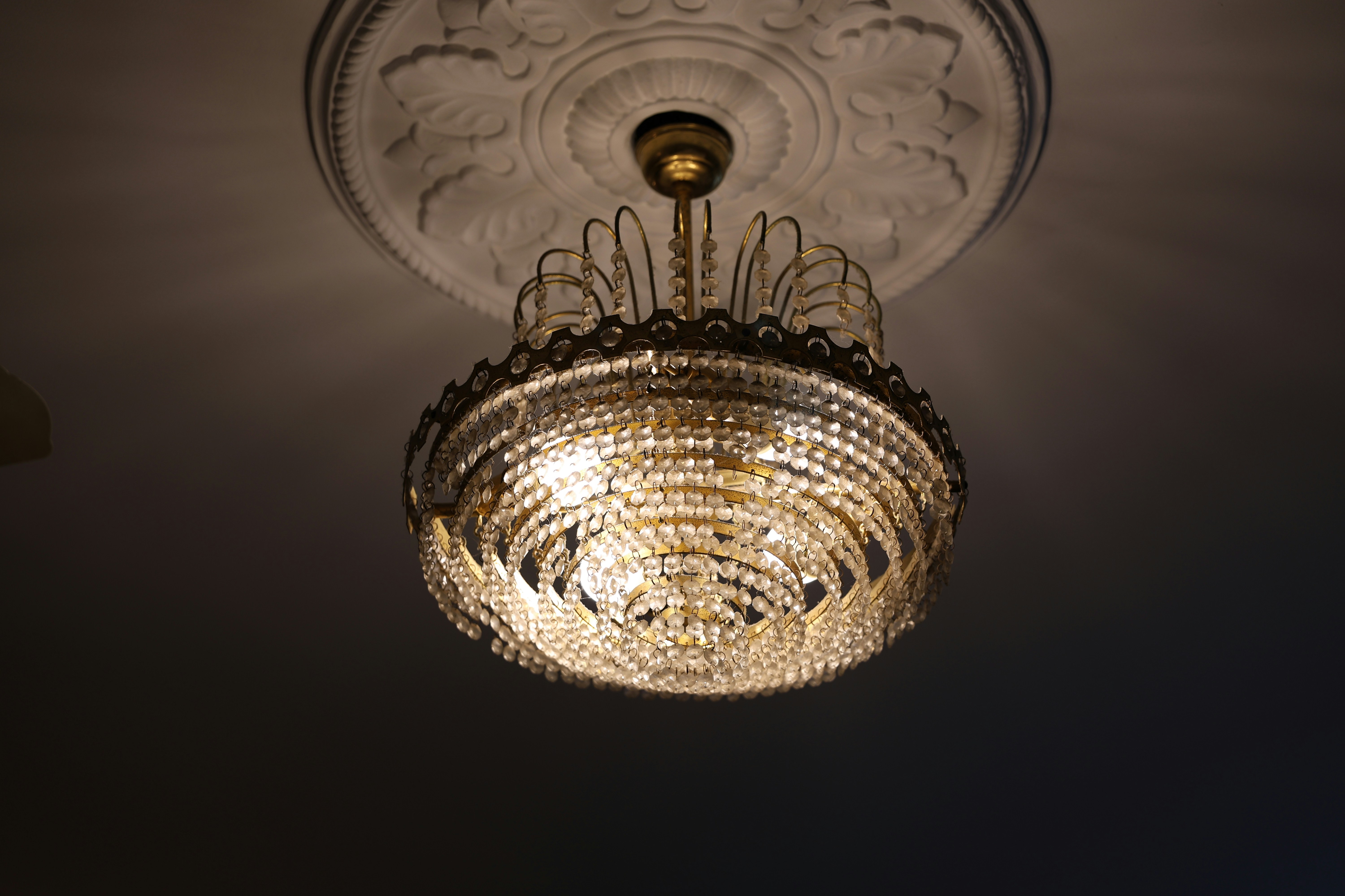 Photo by aditya_sethia_97