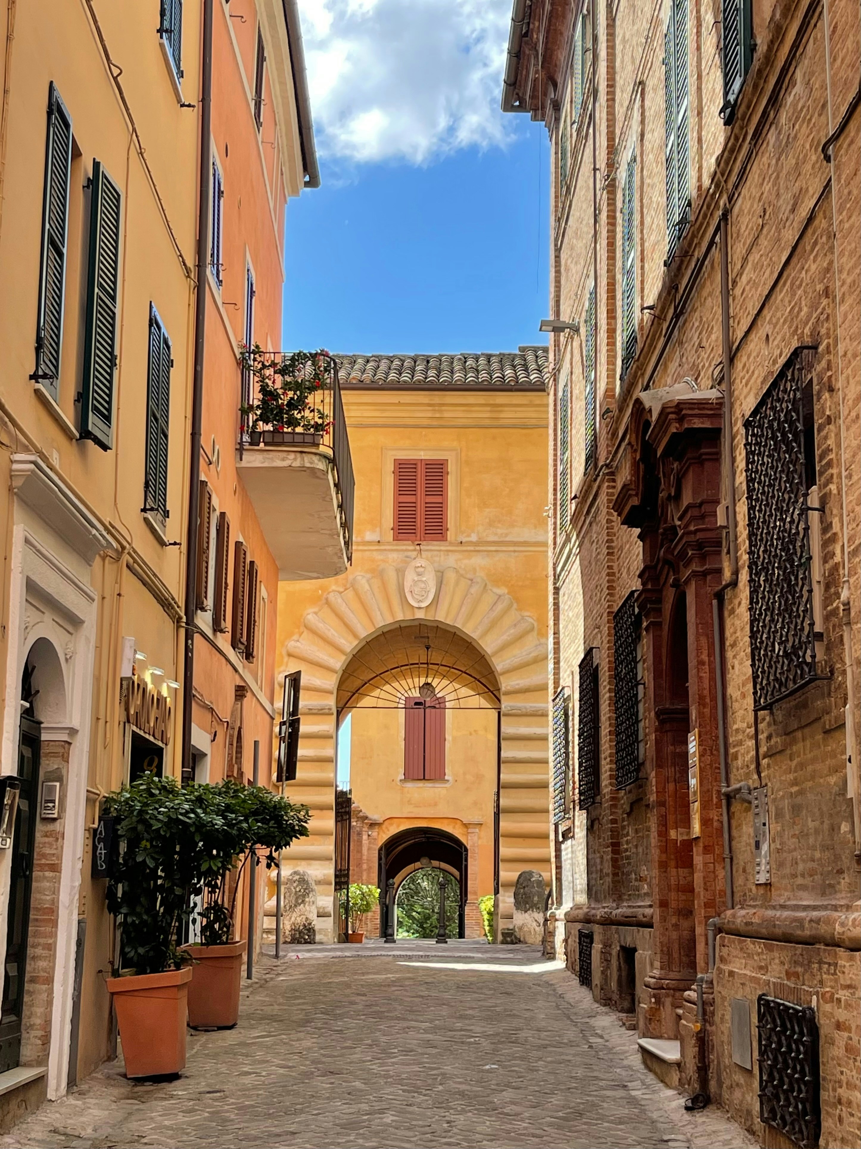 Photo by yayafreemandesigns