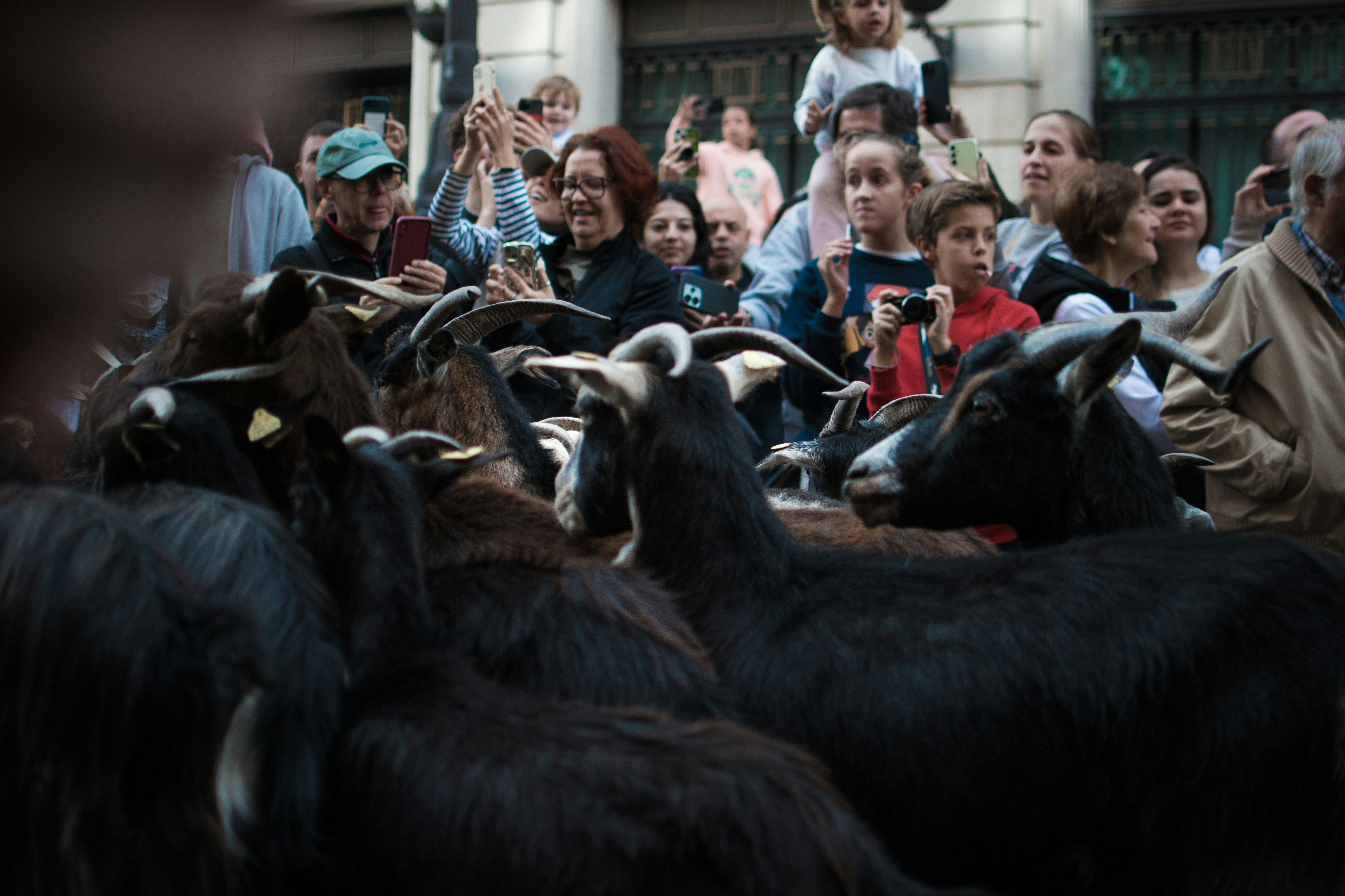 Alternatives to Reddit and When Creators Should Migrate Their Communities