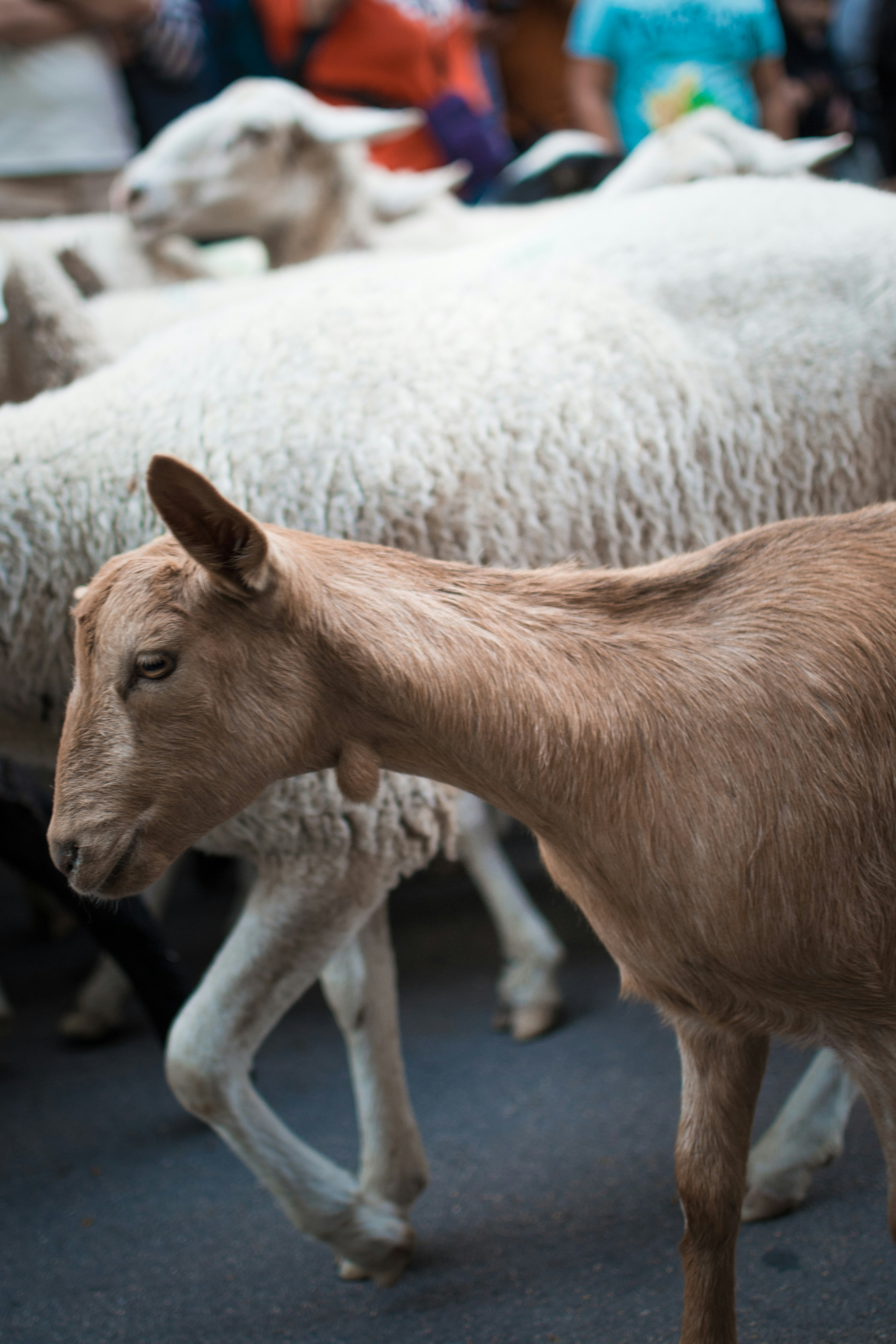 Photo by diseniatica