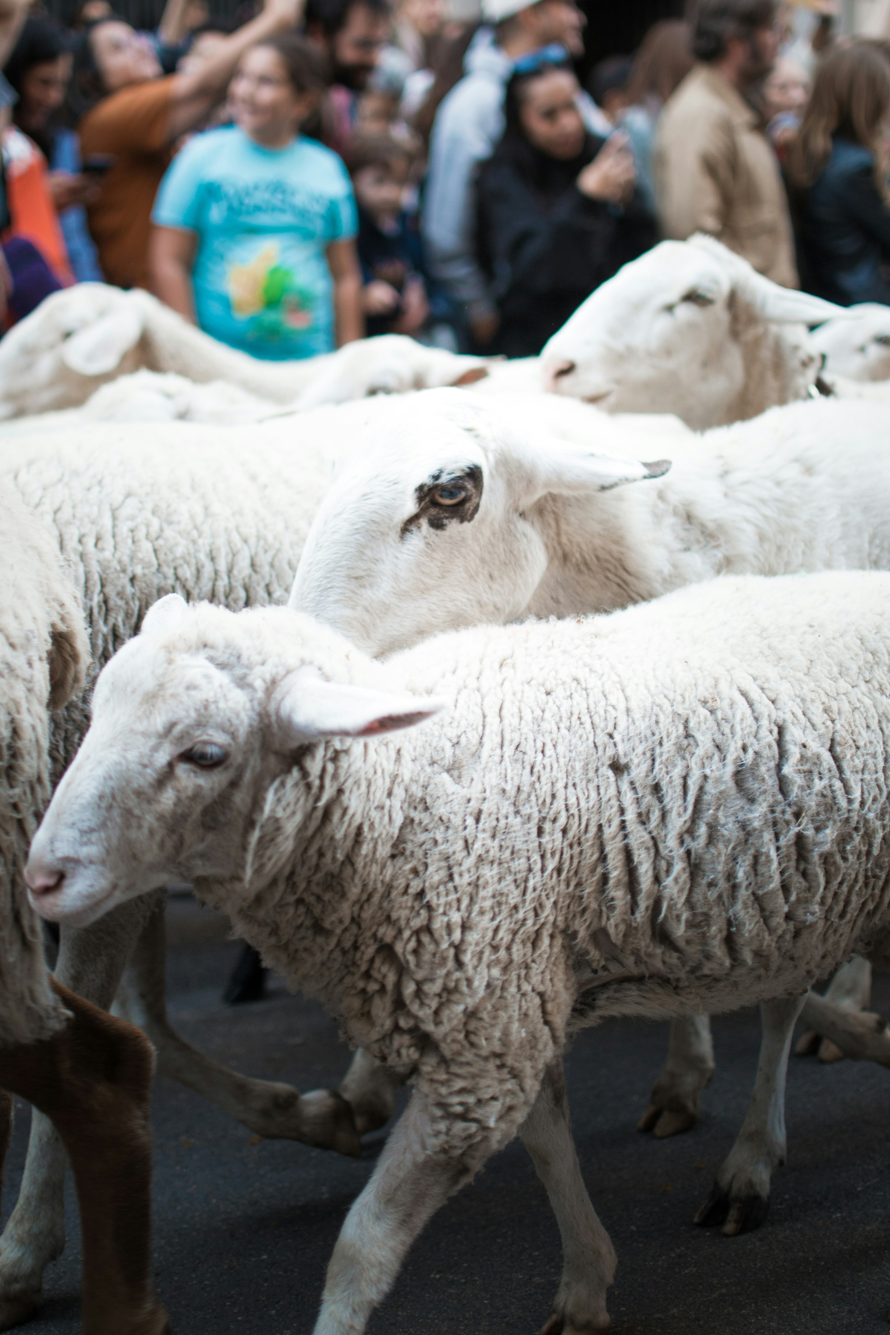 Photo by diseniatica