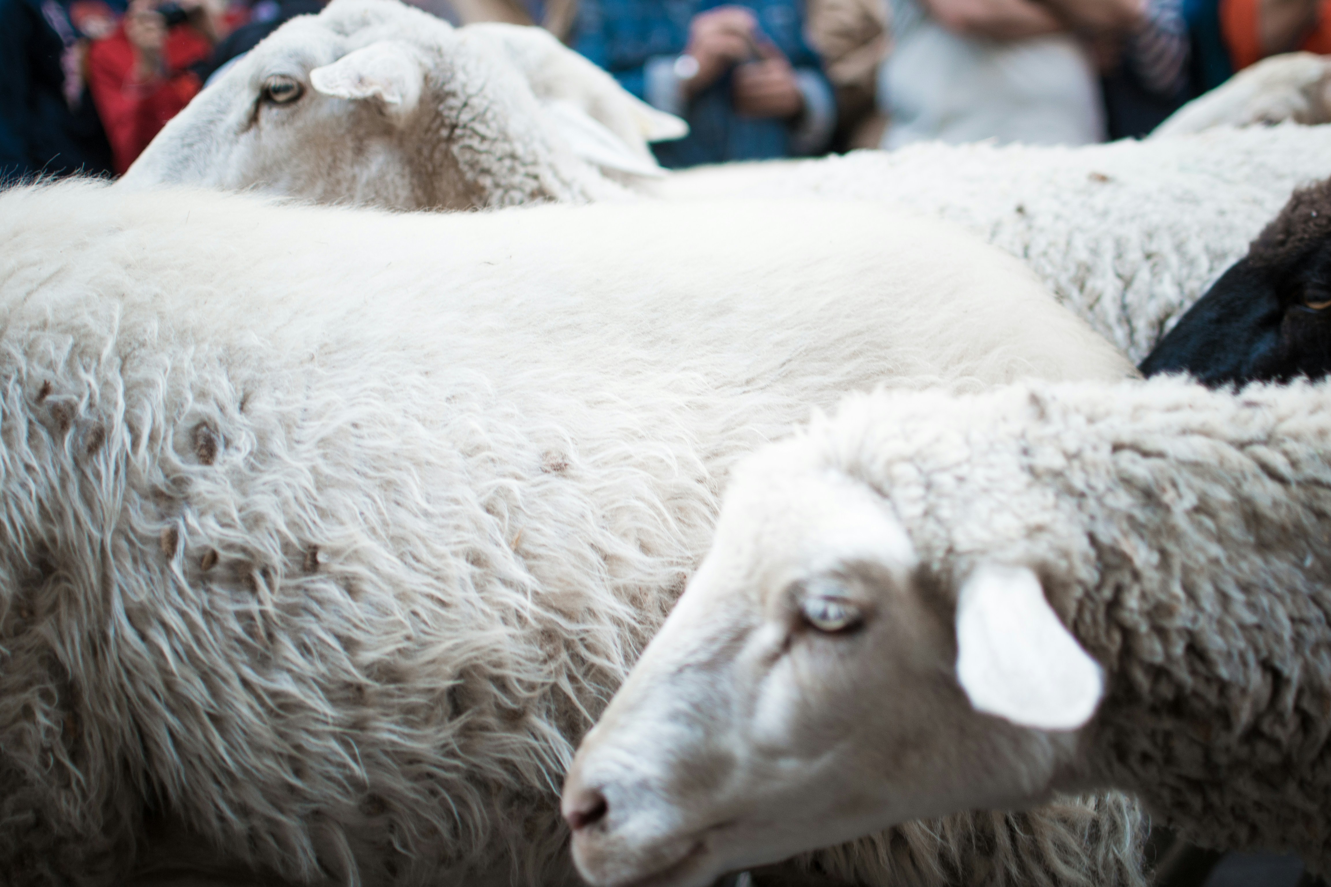 Photo by diseniatica