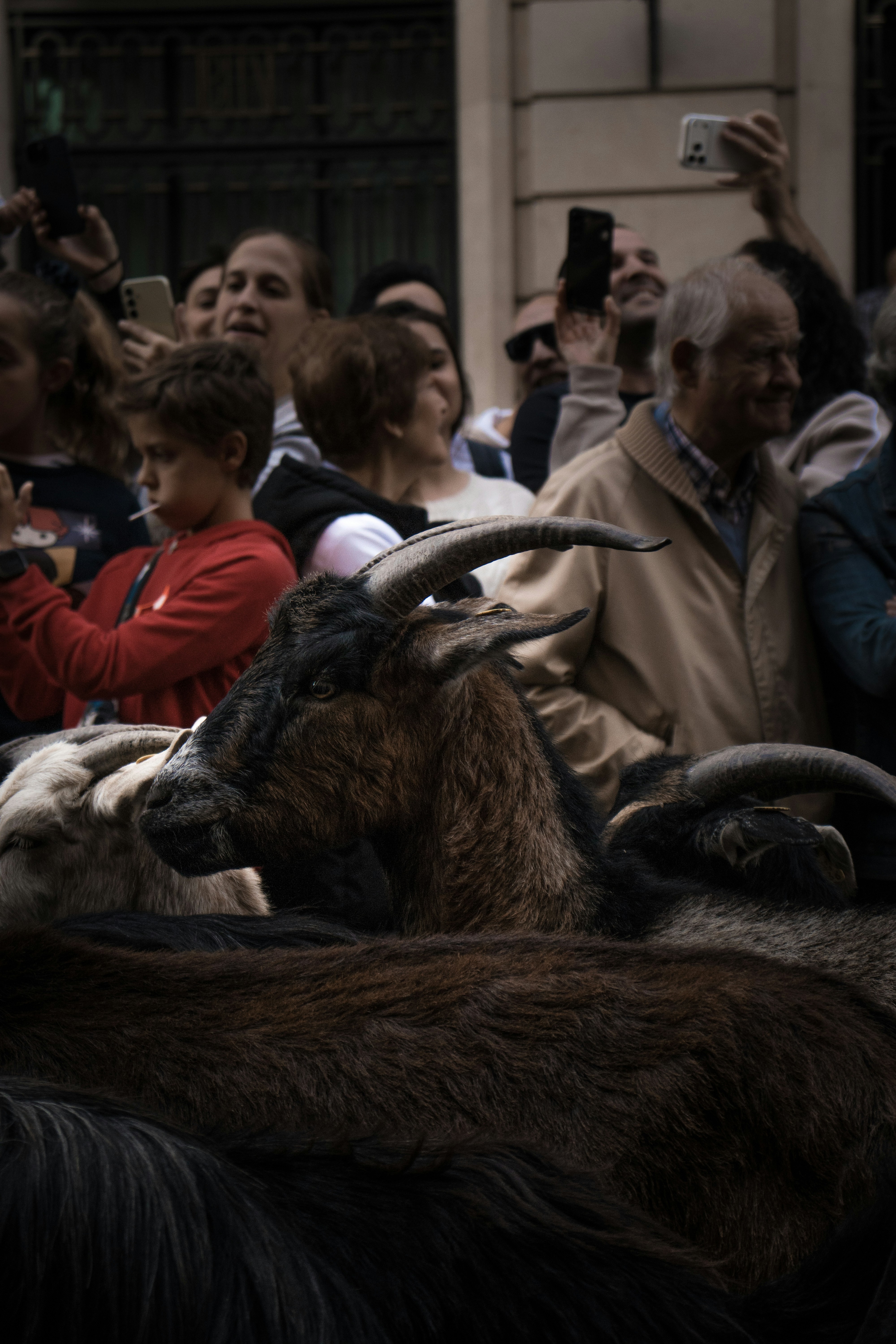 Photo by diseniatica
