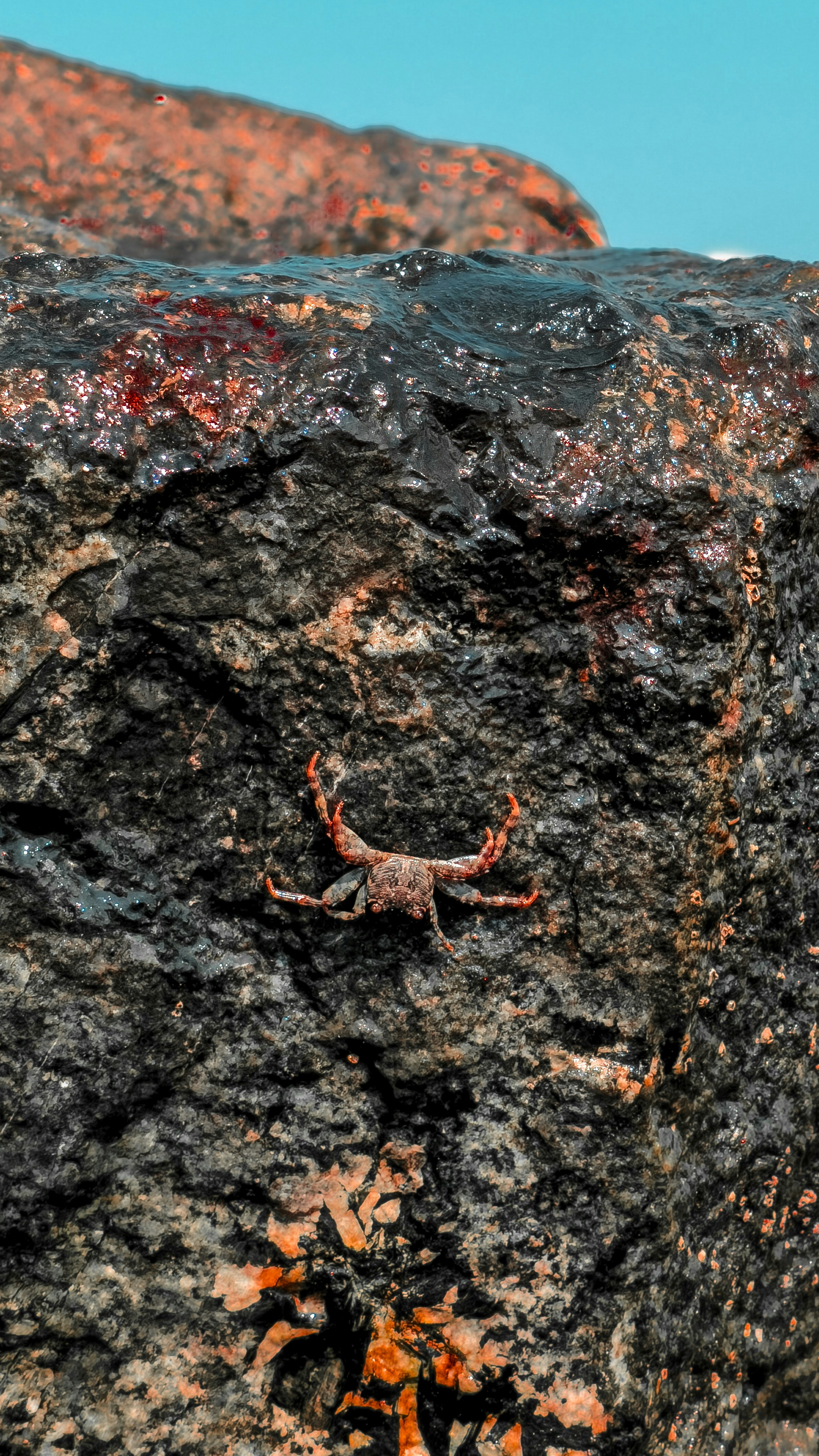 Photo by luanfonsecavisuals