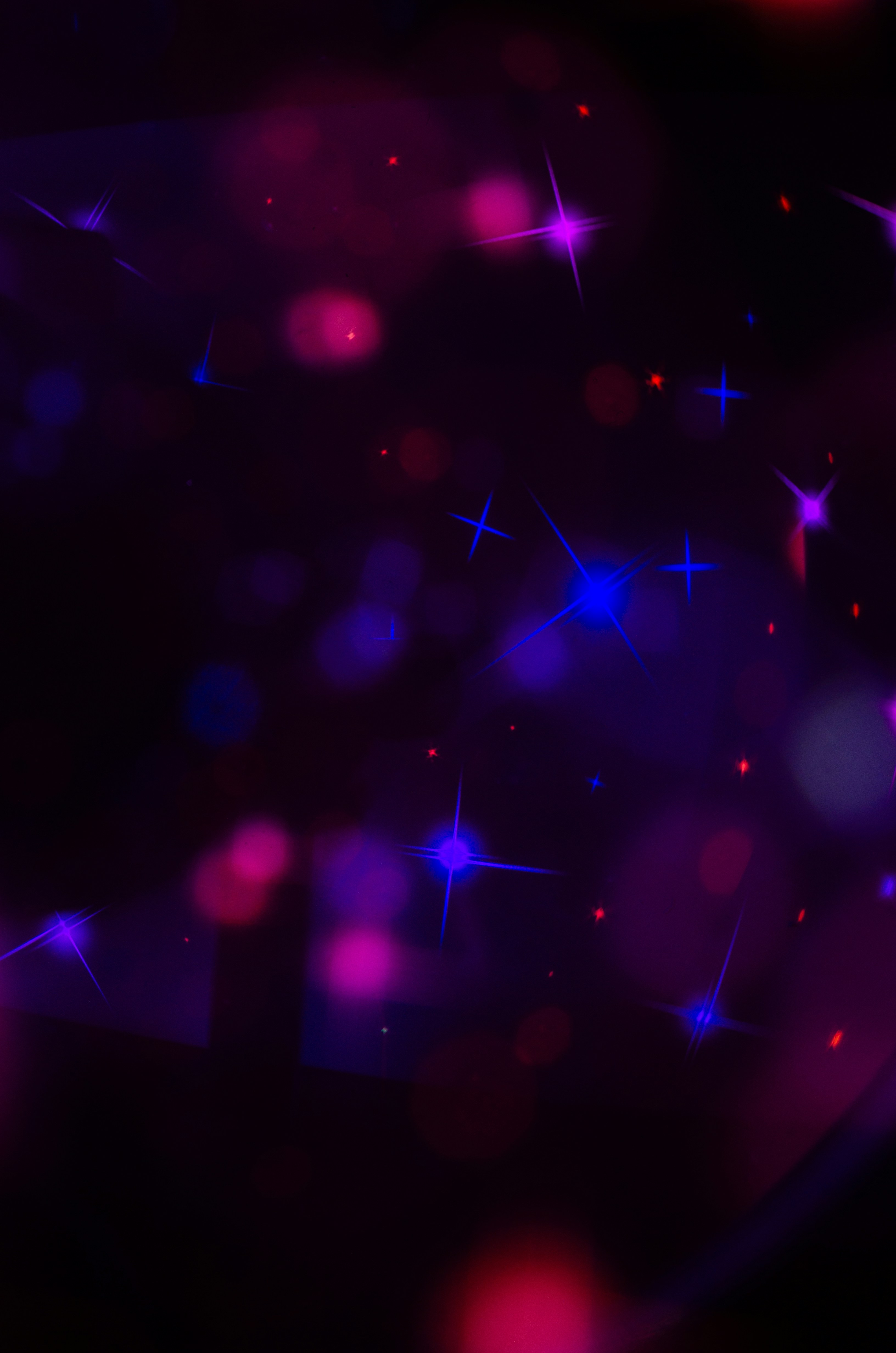 Photo by andrilliardbond