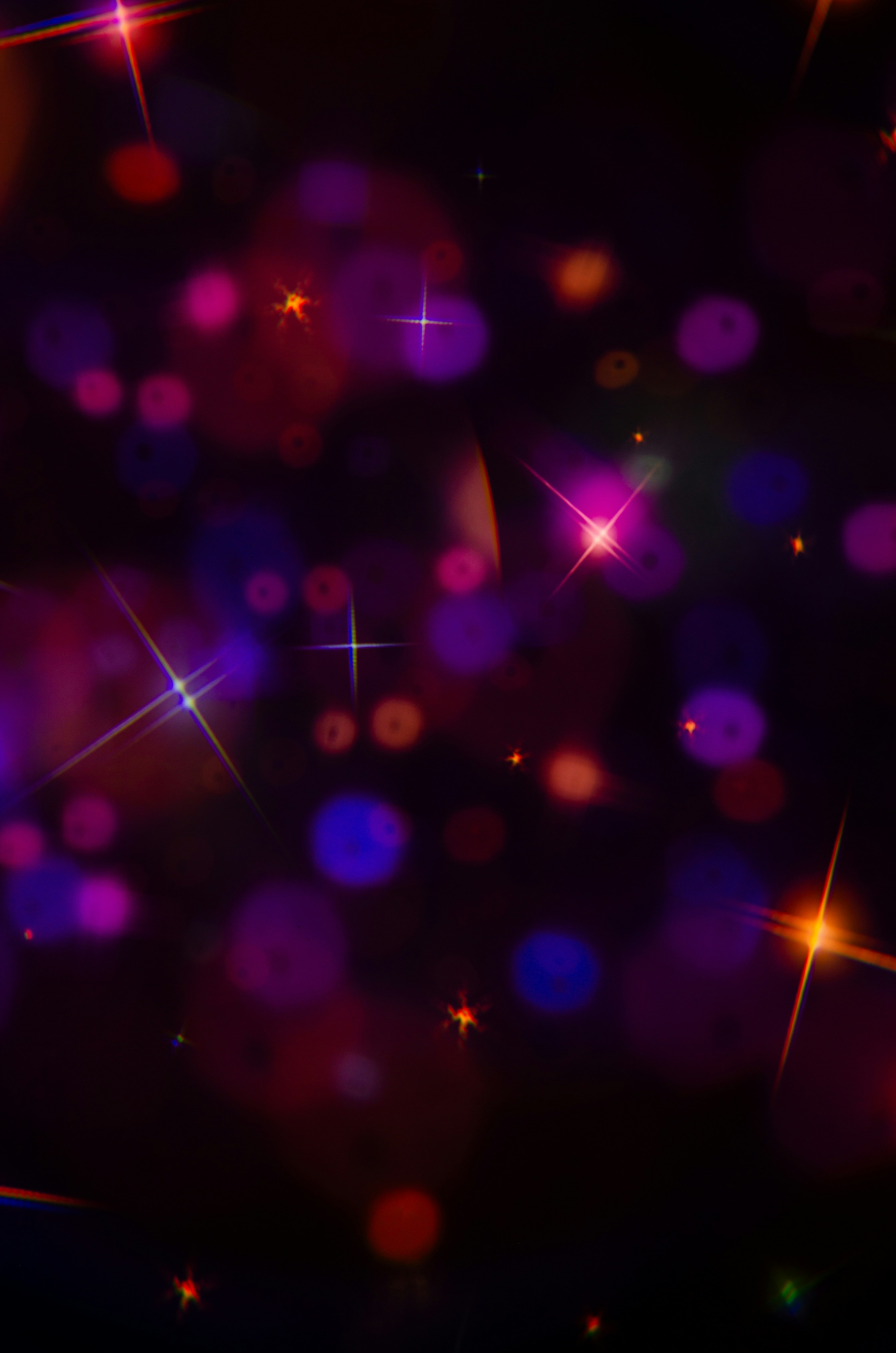 Photo by andrilliardbond