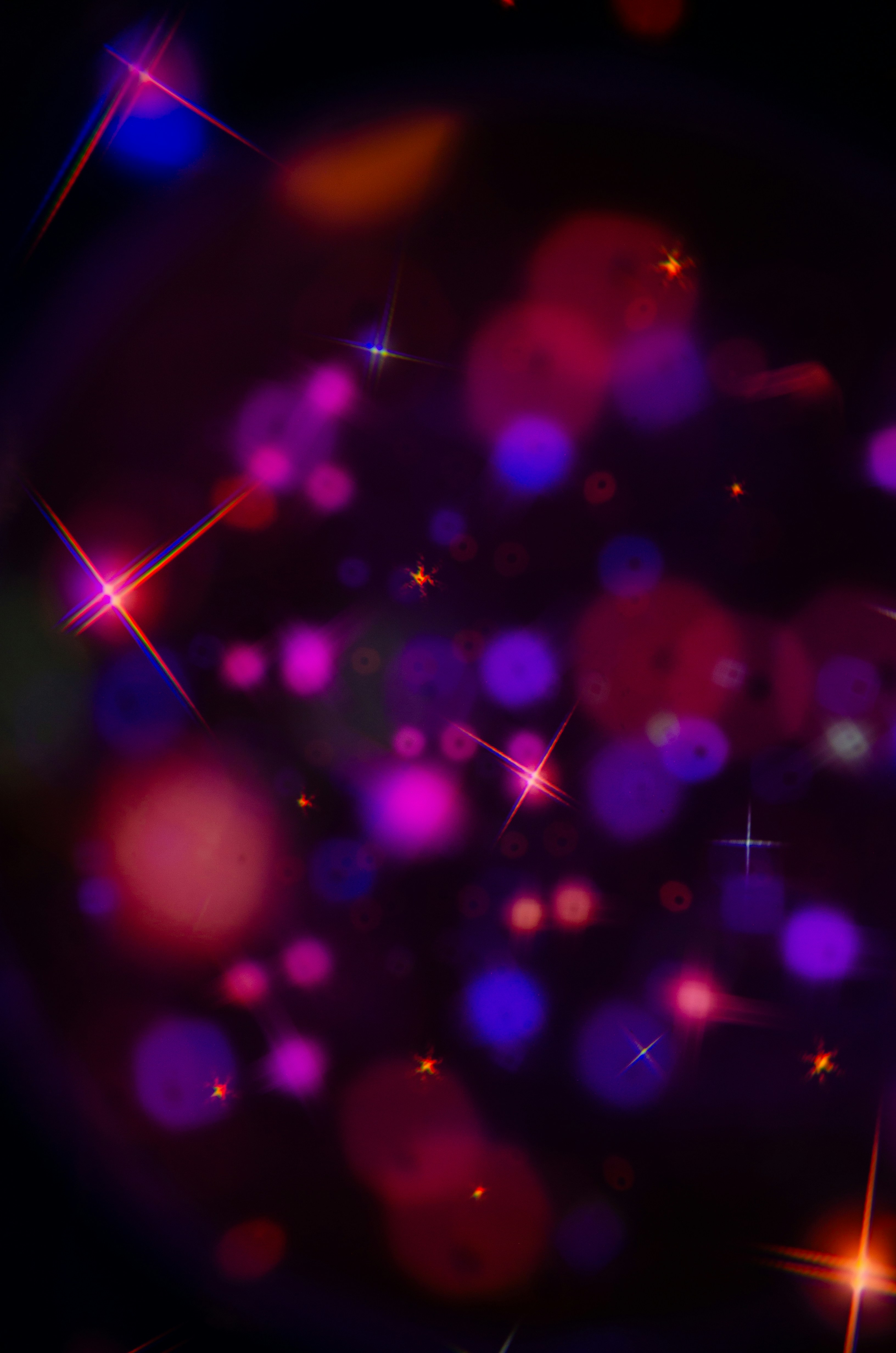 Photo by andrilliardbond