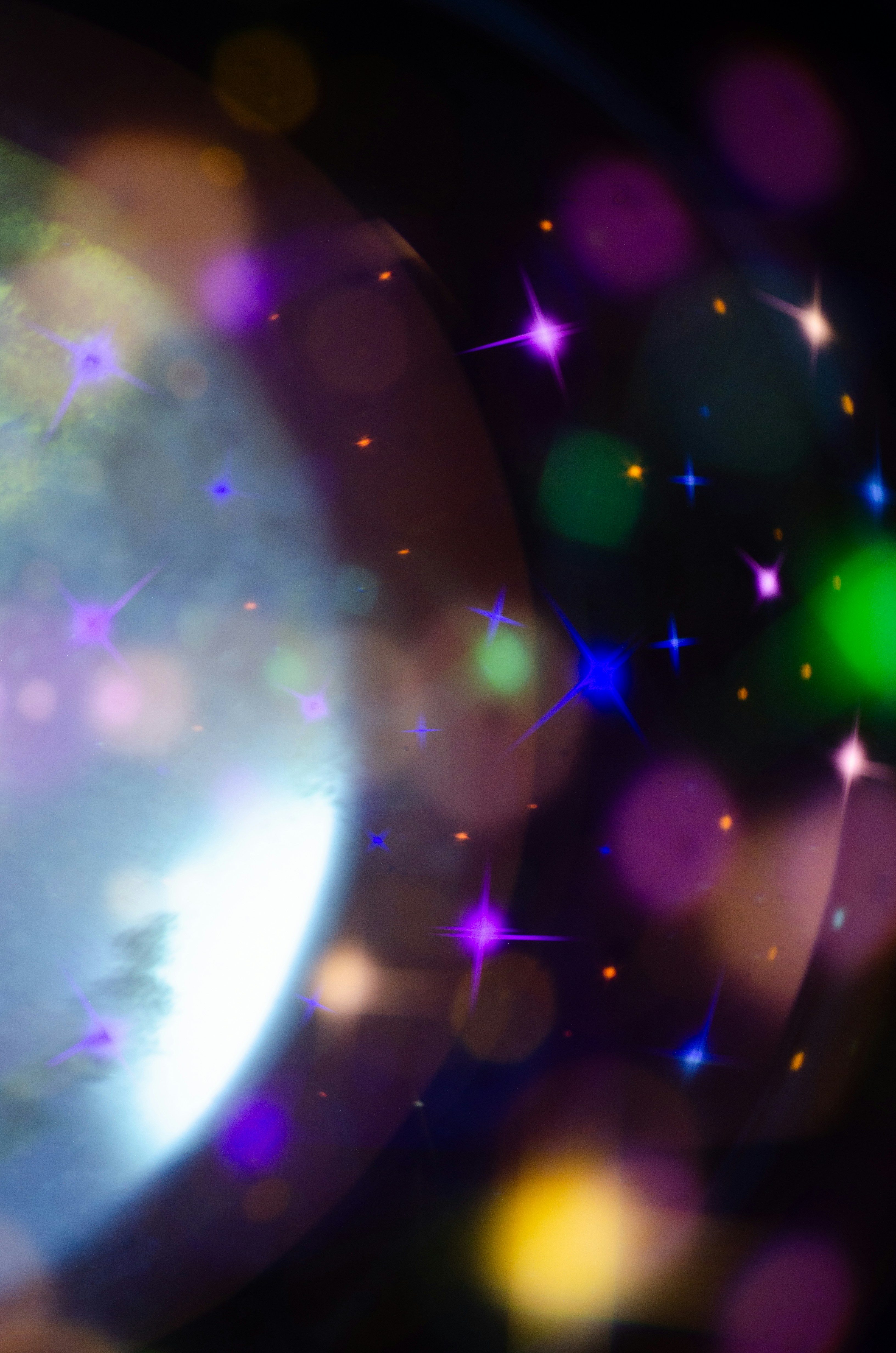 Photo by andrilliardbond