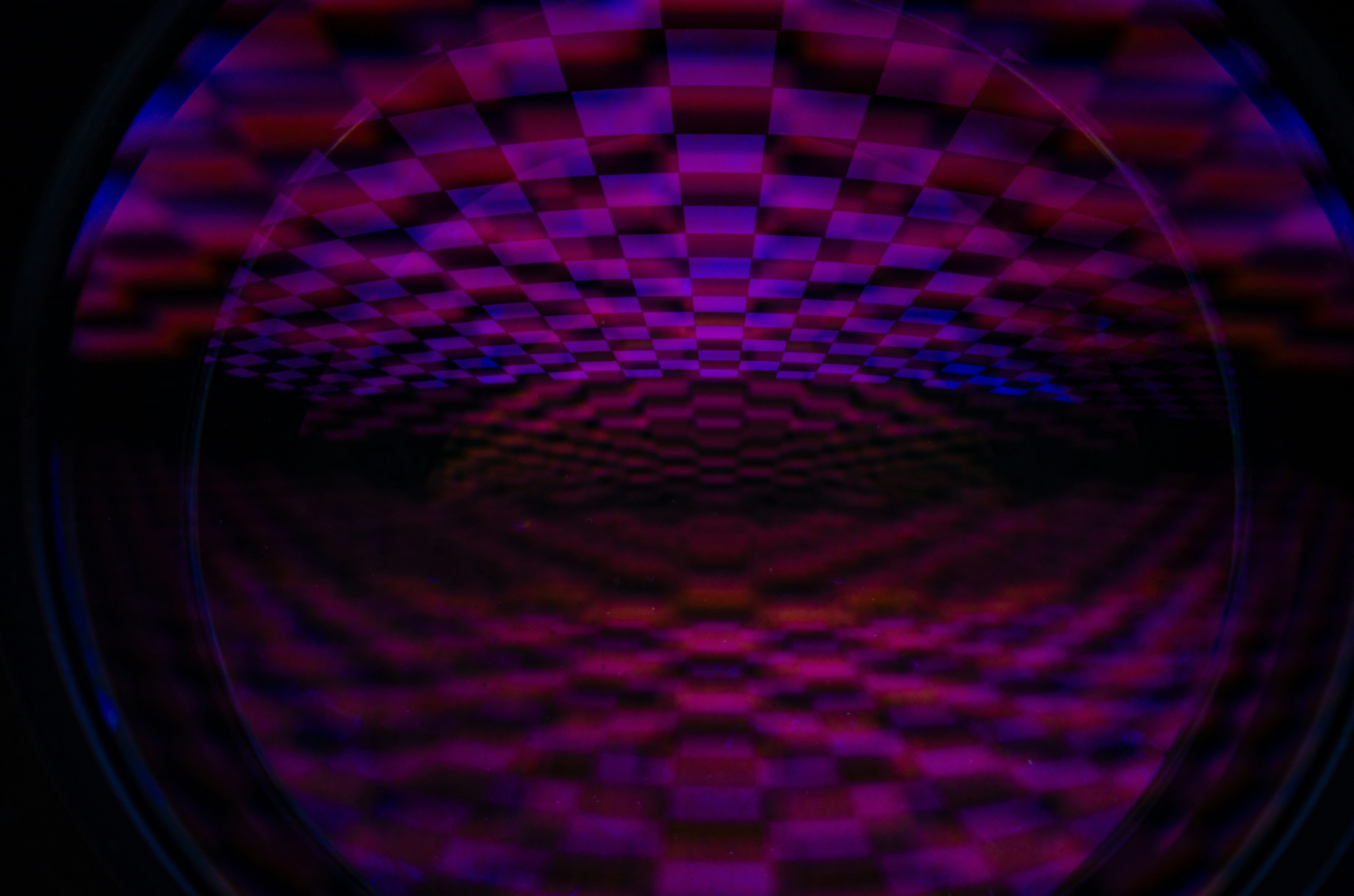 Photo by andrilliardbond