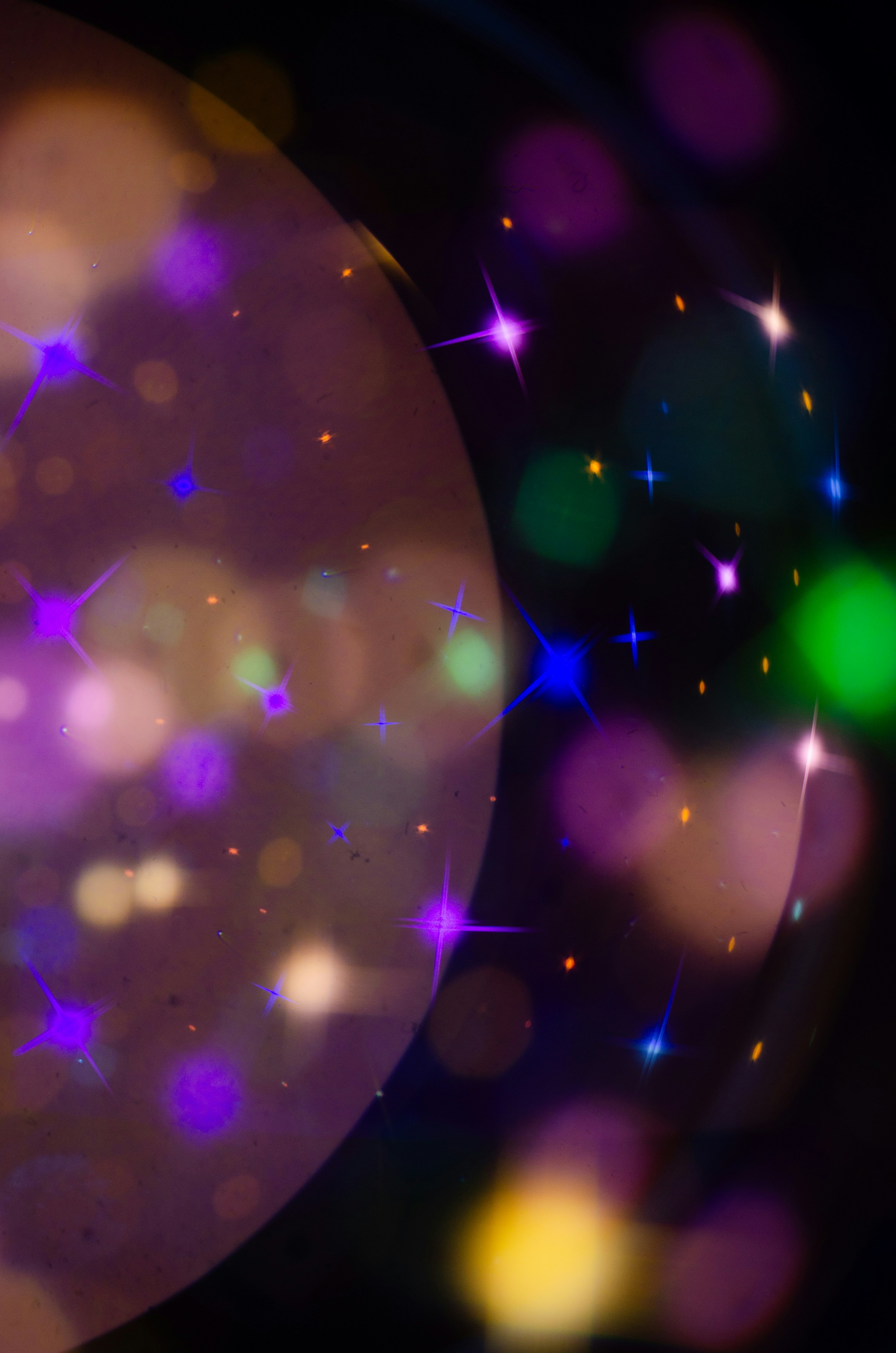 Photo by andrilliardbond