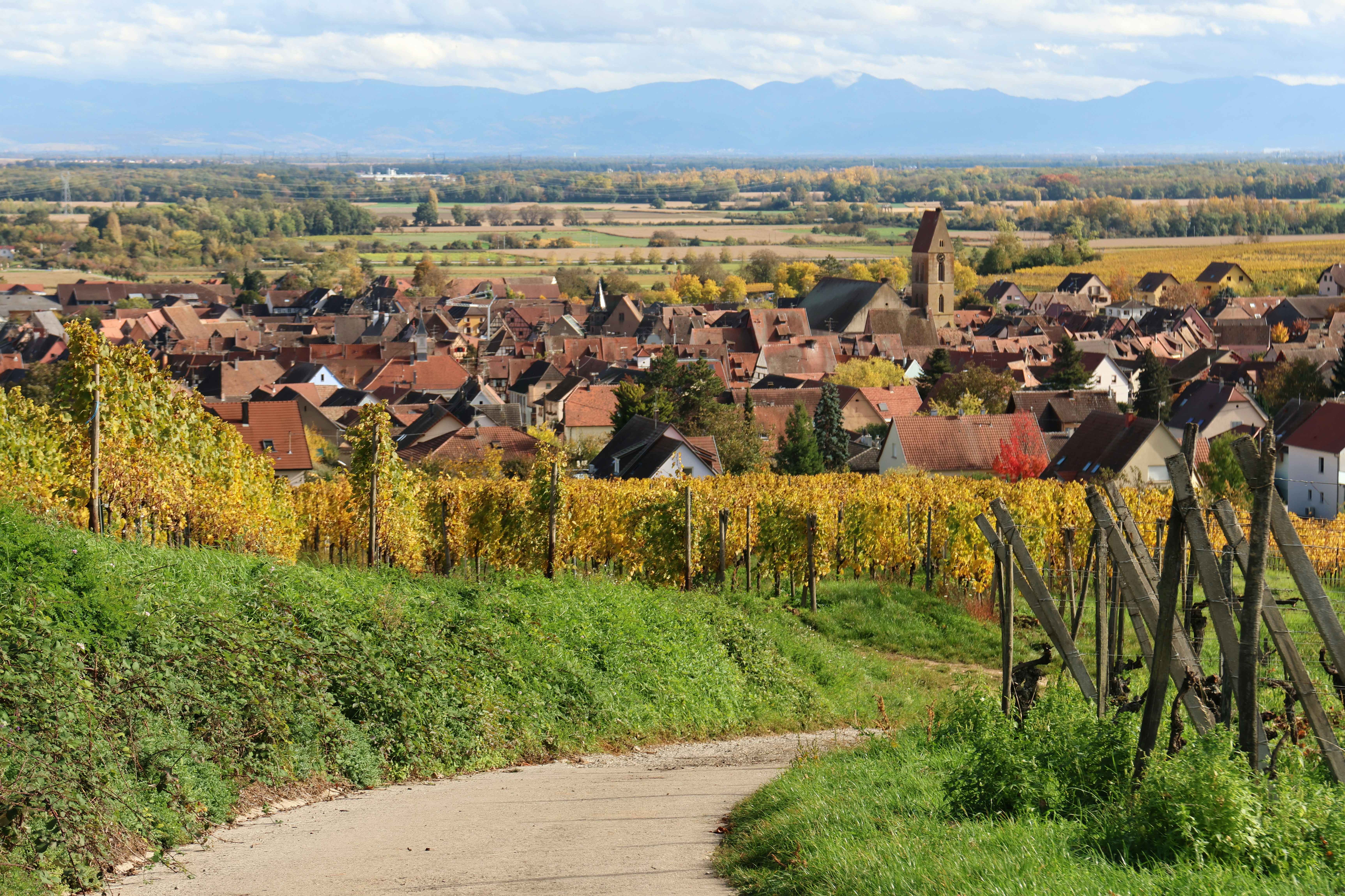 Vineyard and village in autumn with distant mountains