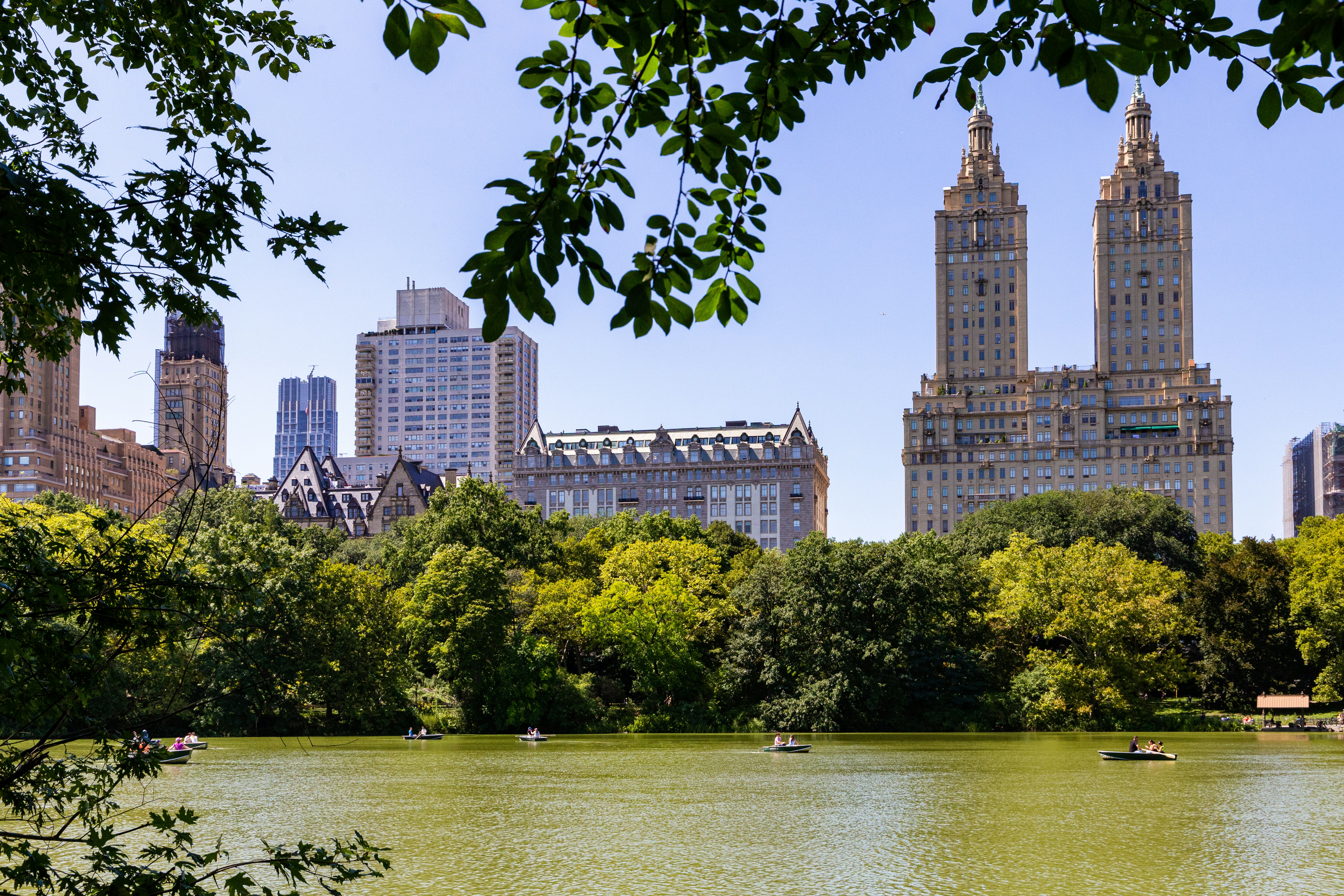 Photo by maxim_klimashin