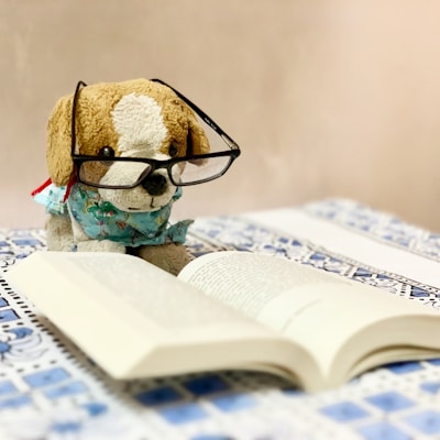 Plush dog wearing glasses reads an open book