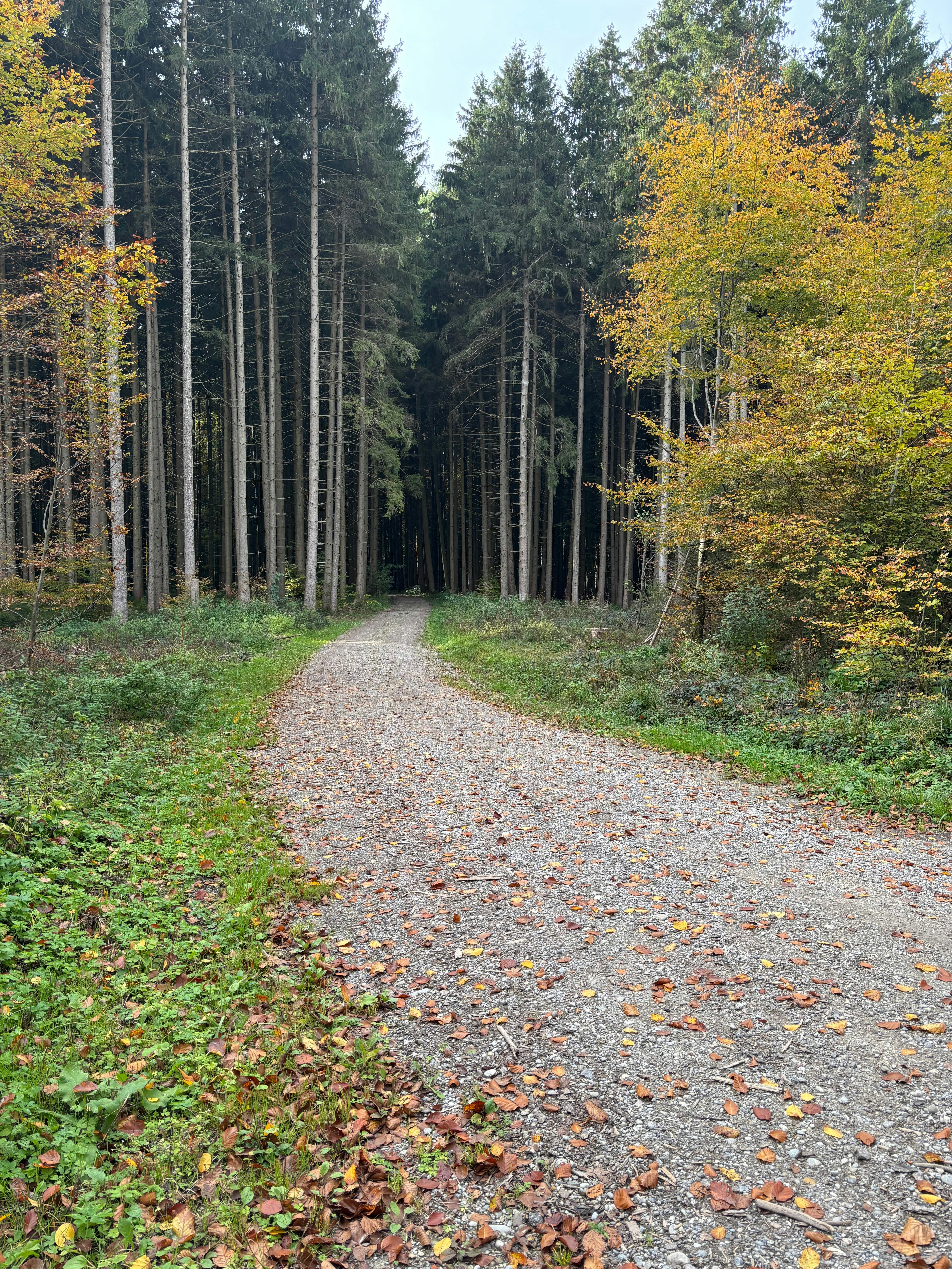 Photo by andrian1989