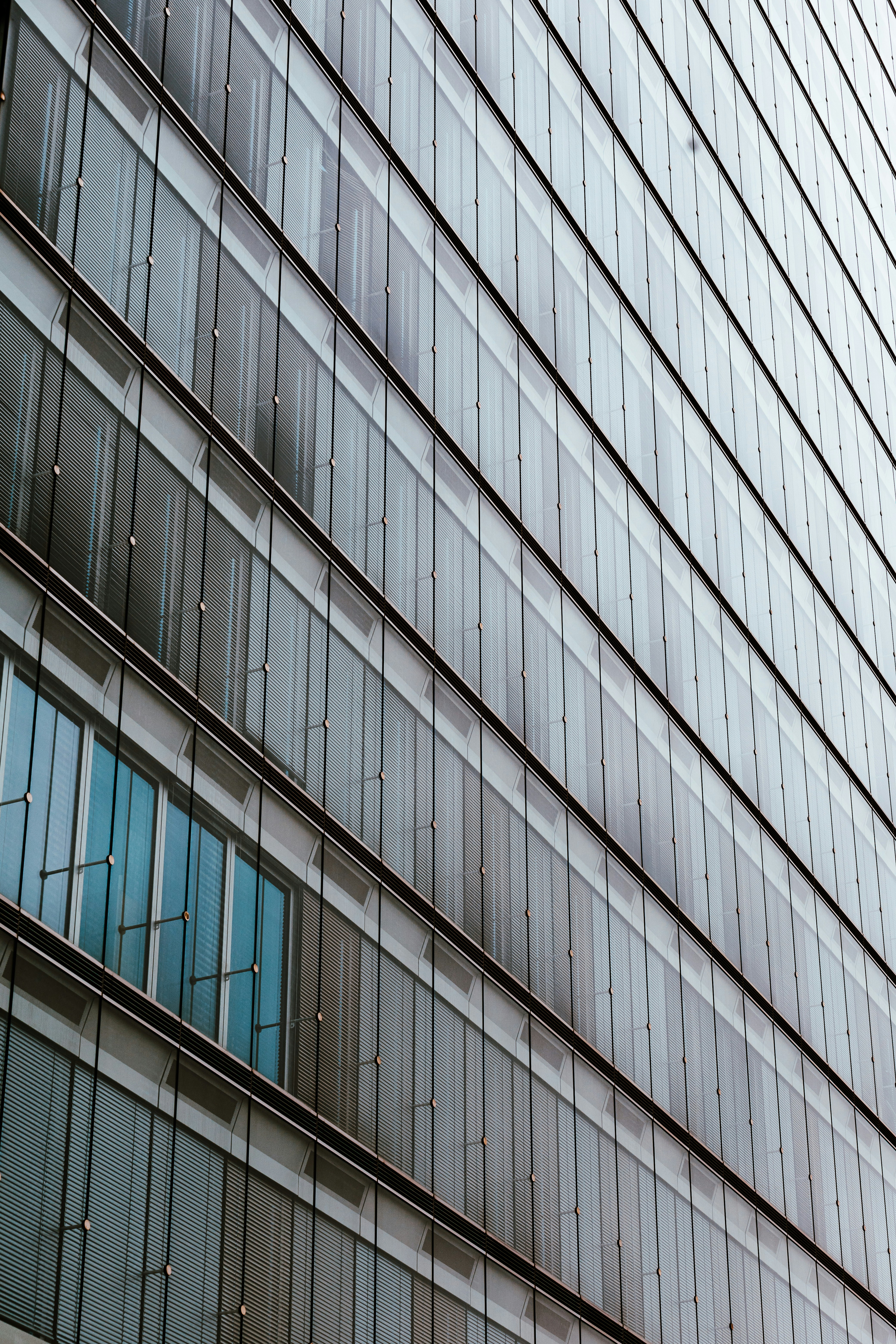 Photo by nyhasinavalona