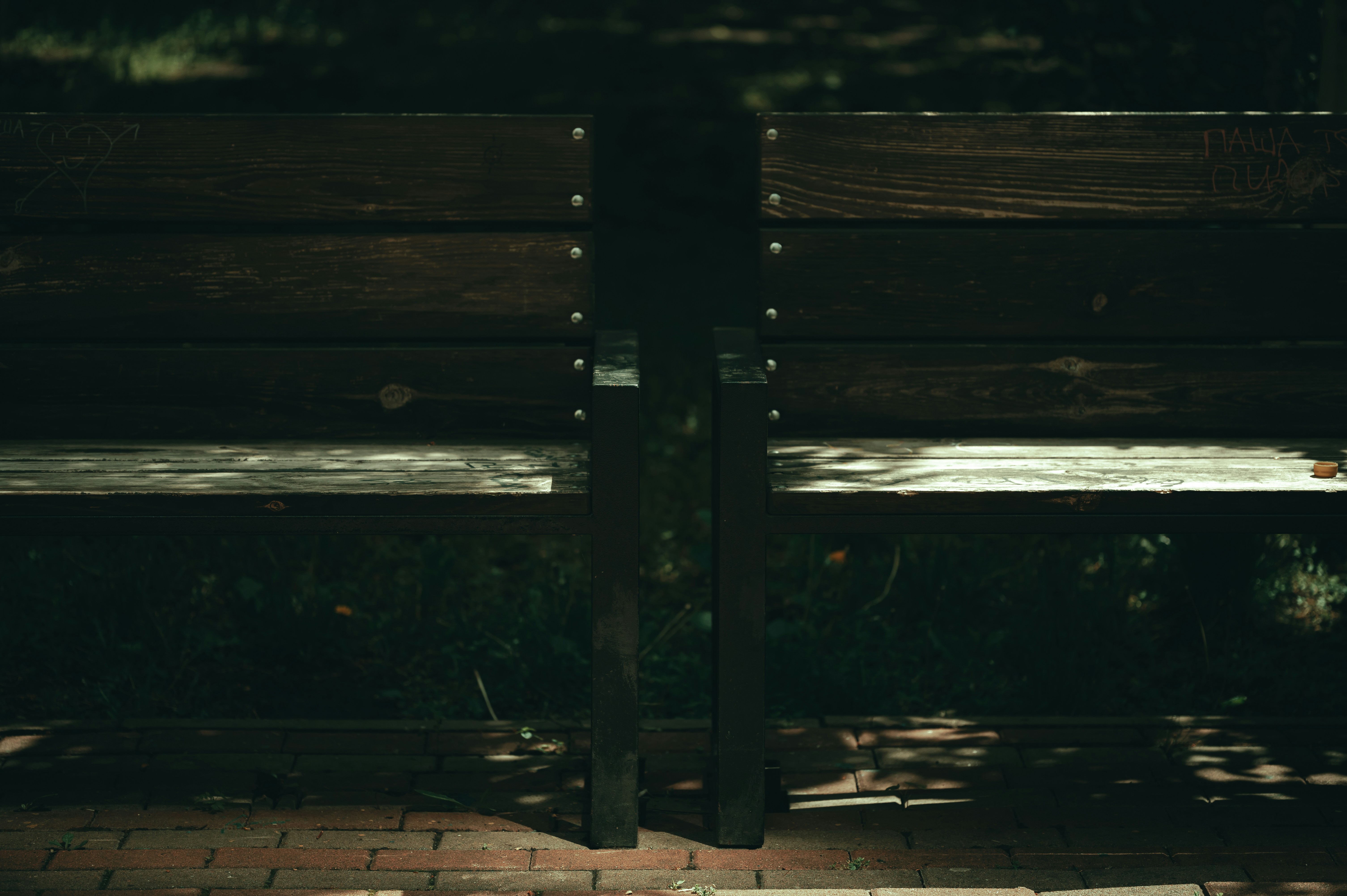 Photo by volodymyr_leush