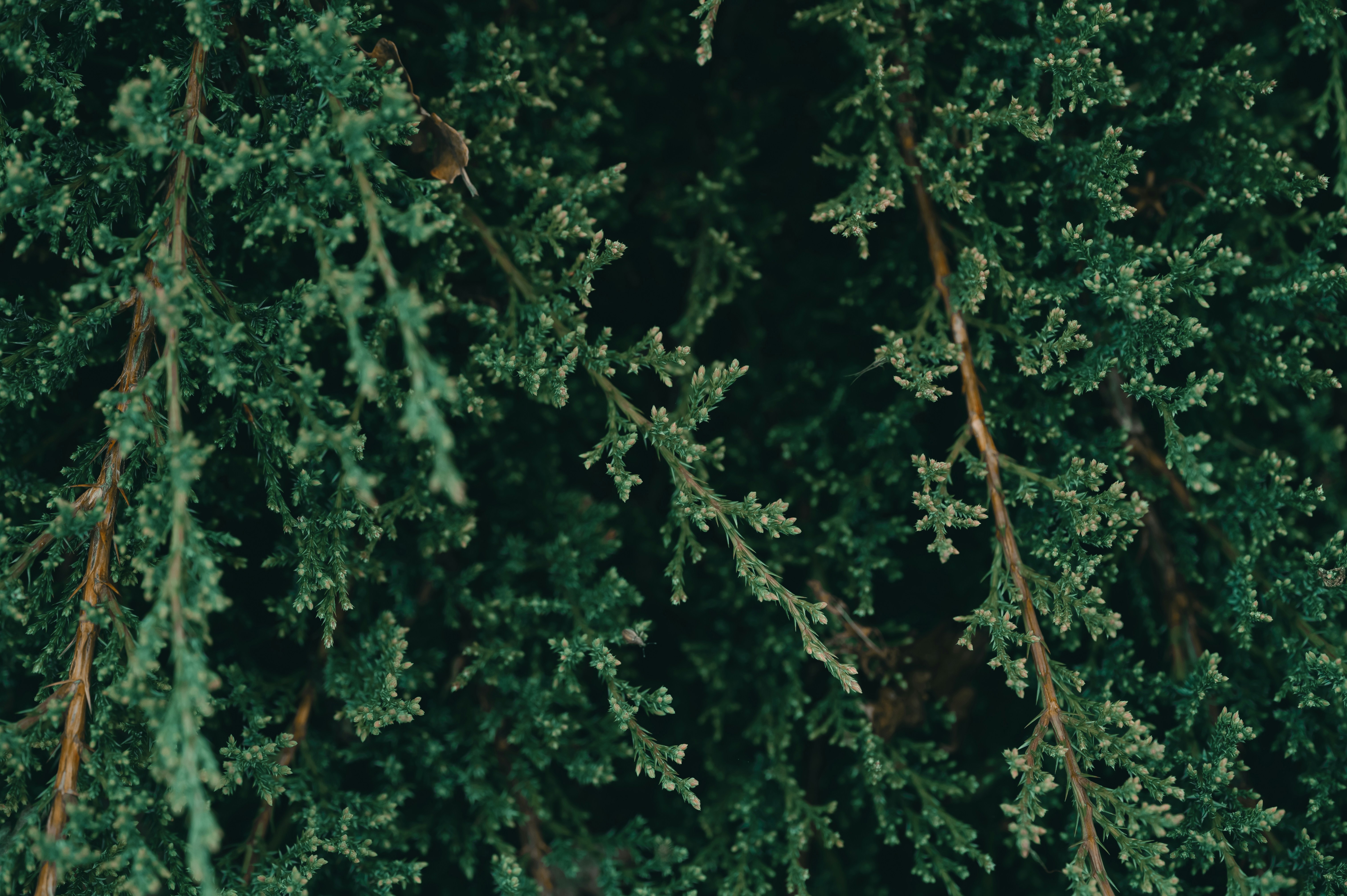 Photo by volodymyr_leush