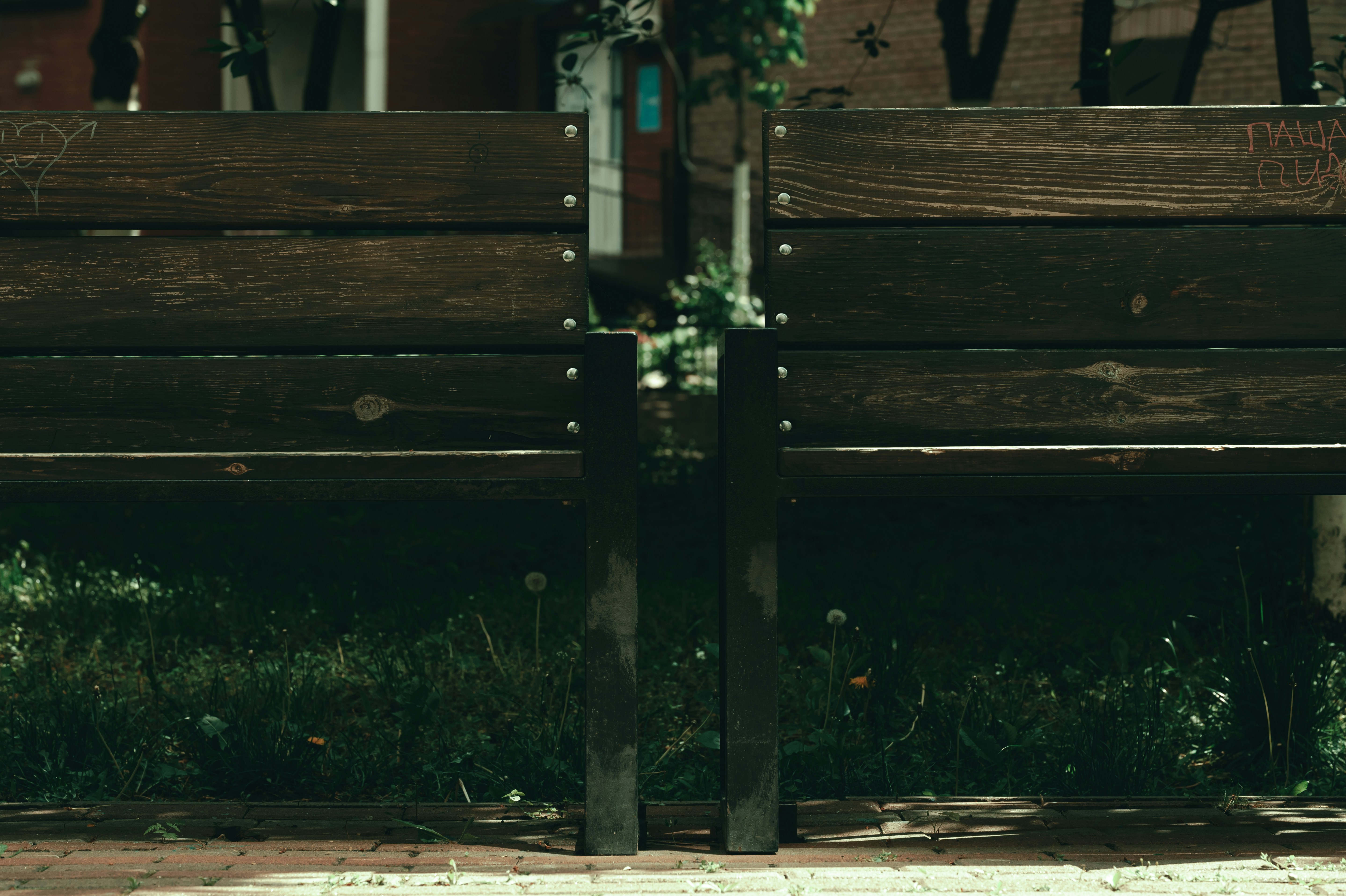 Photo by volodymyr_leush