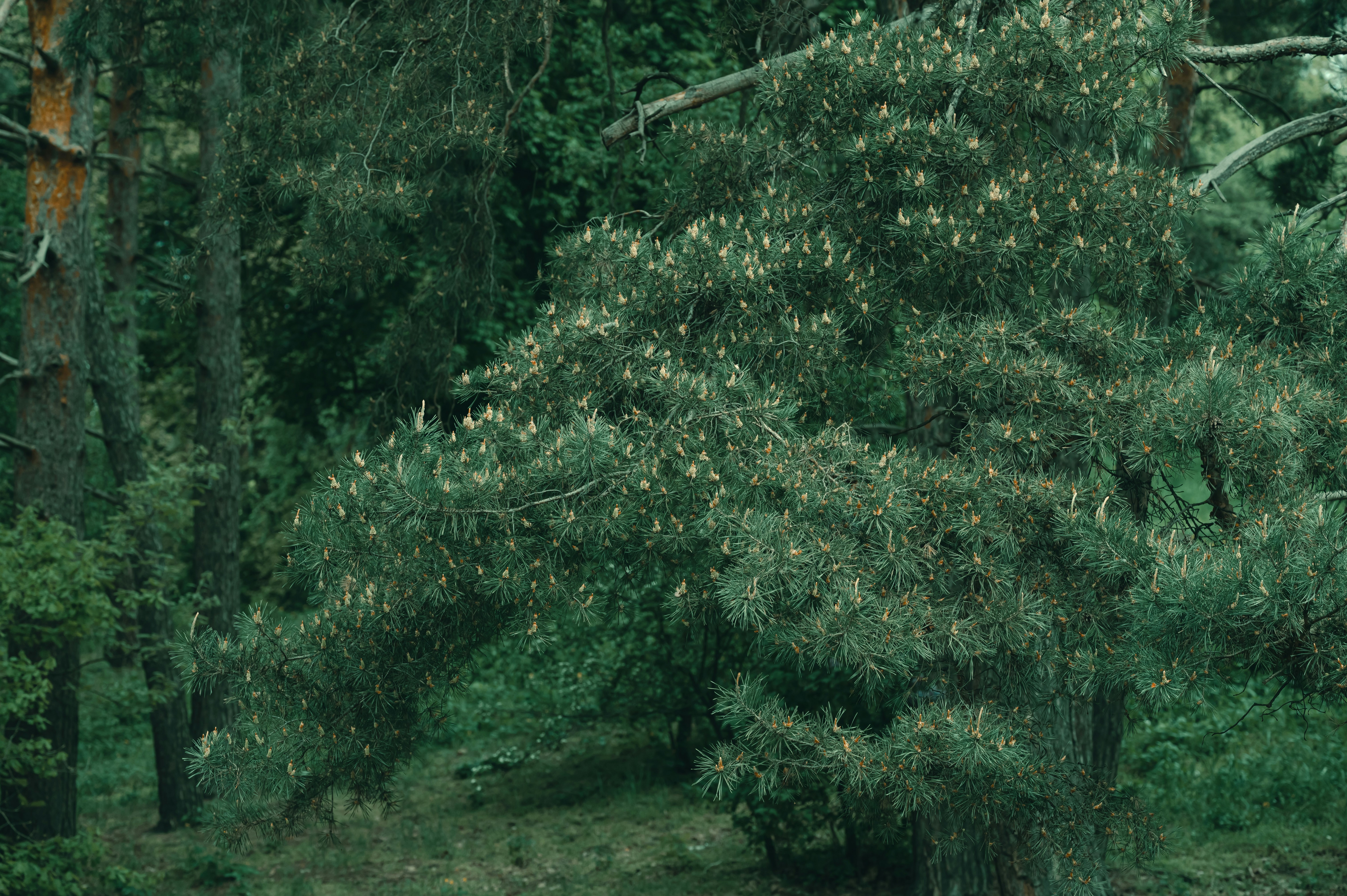 Photo by volodymyr_leush