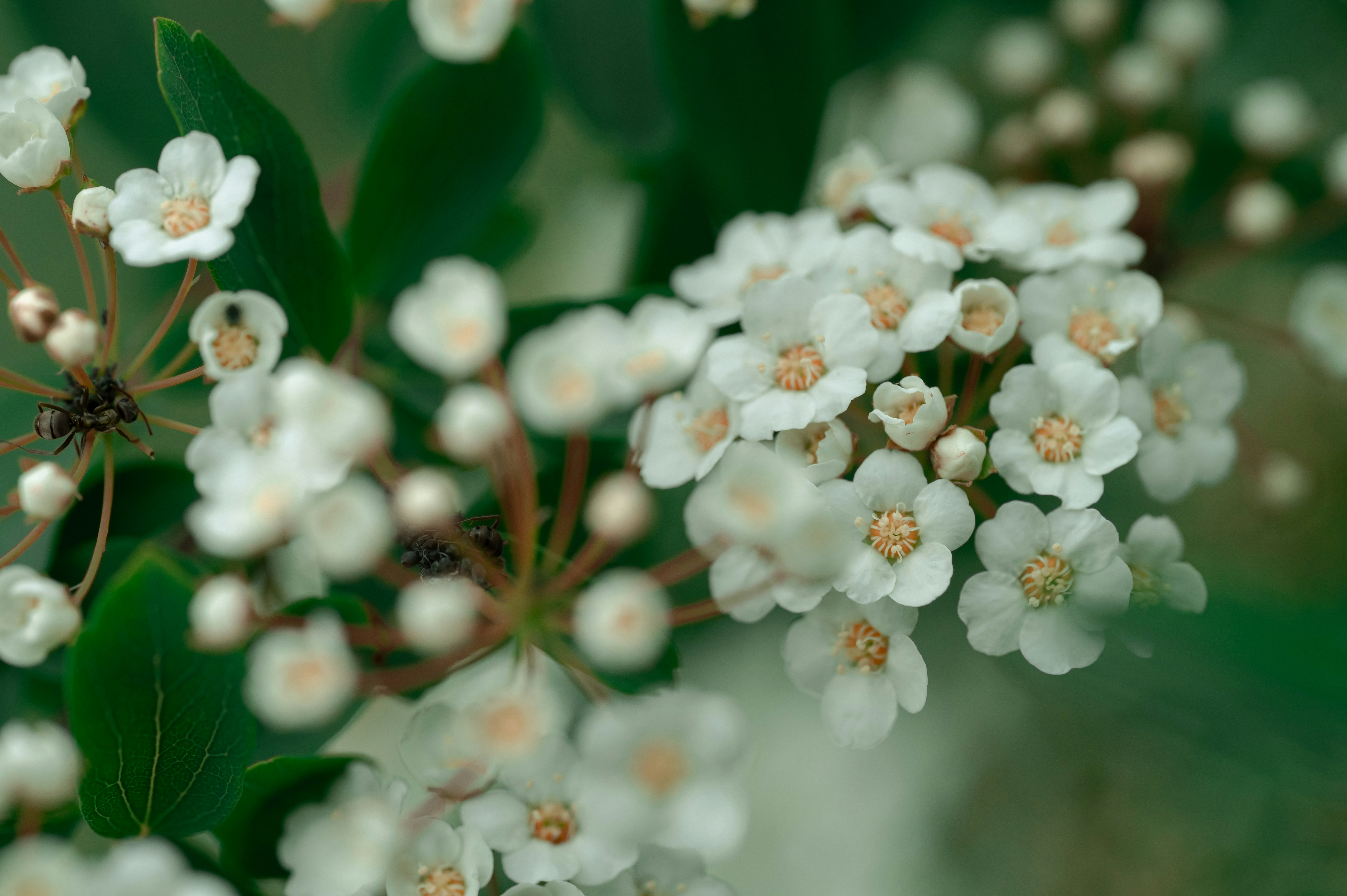 Photo by volodymyr_leush