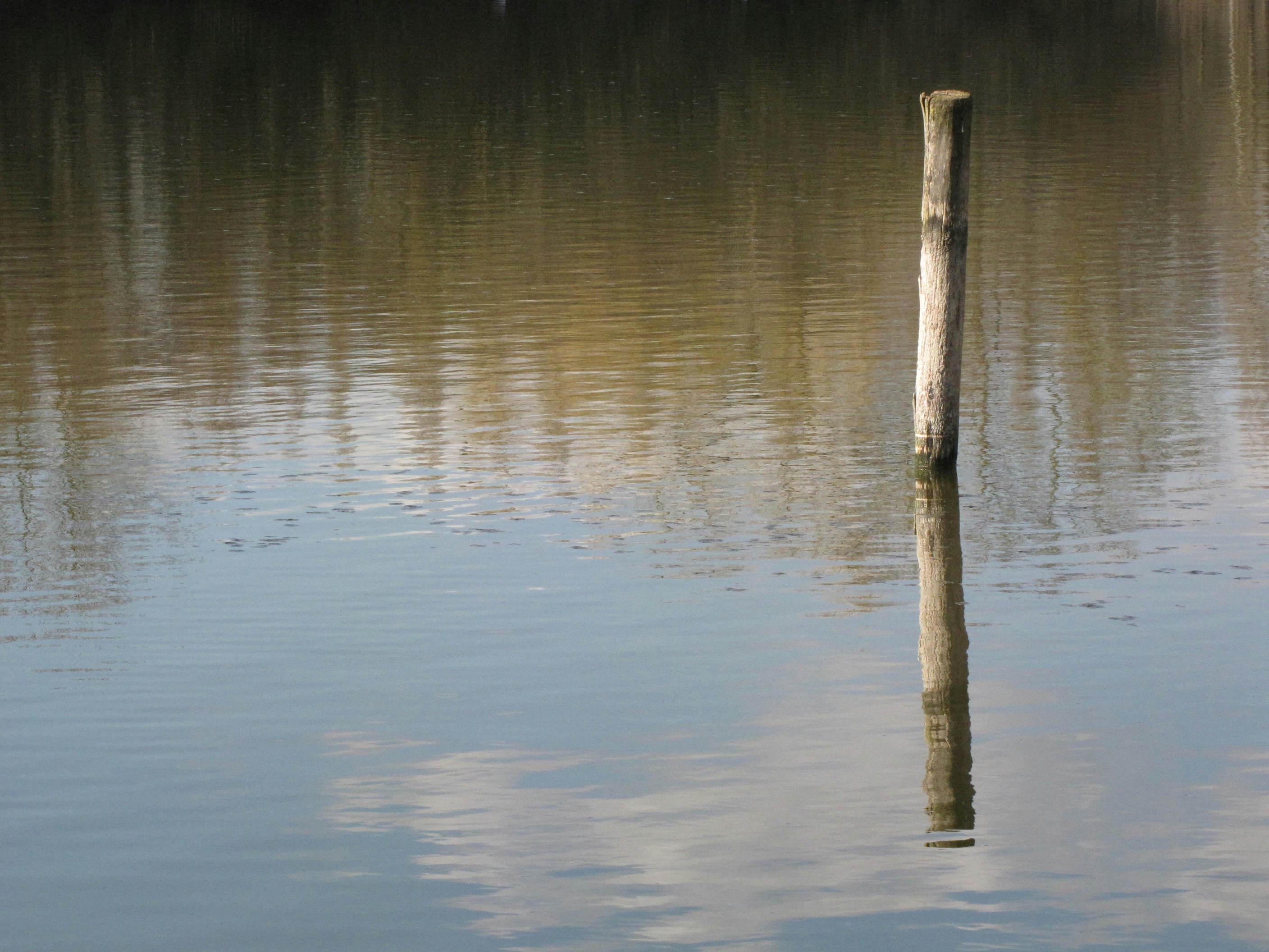 Trivia nights in Bretigny sur Orge, France
