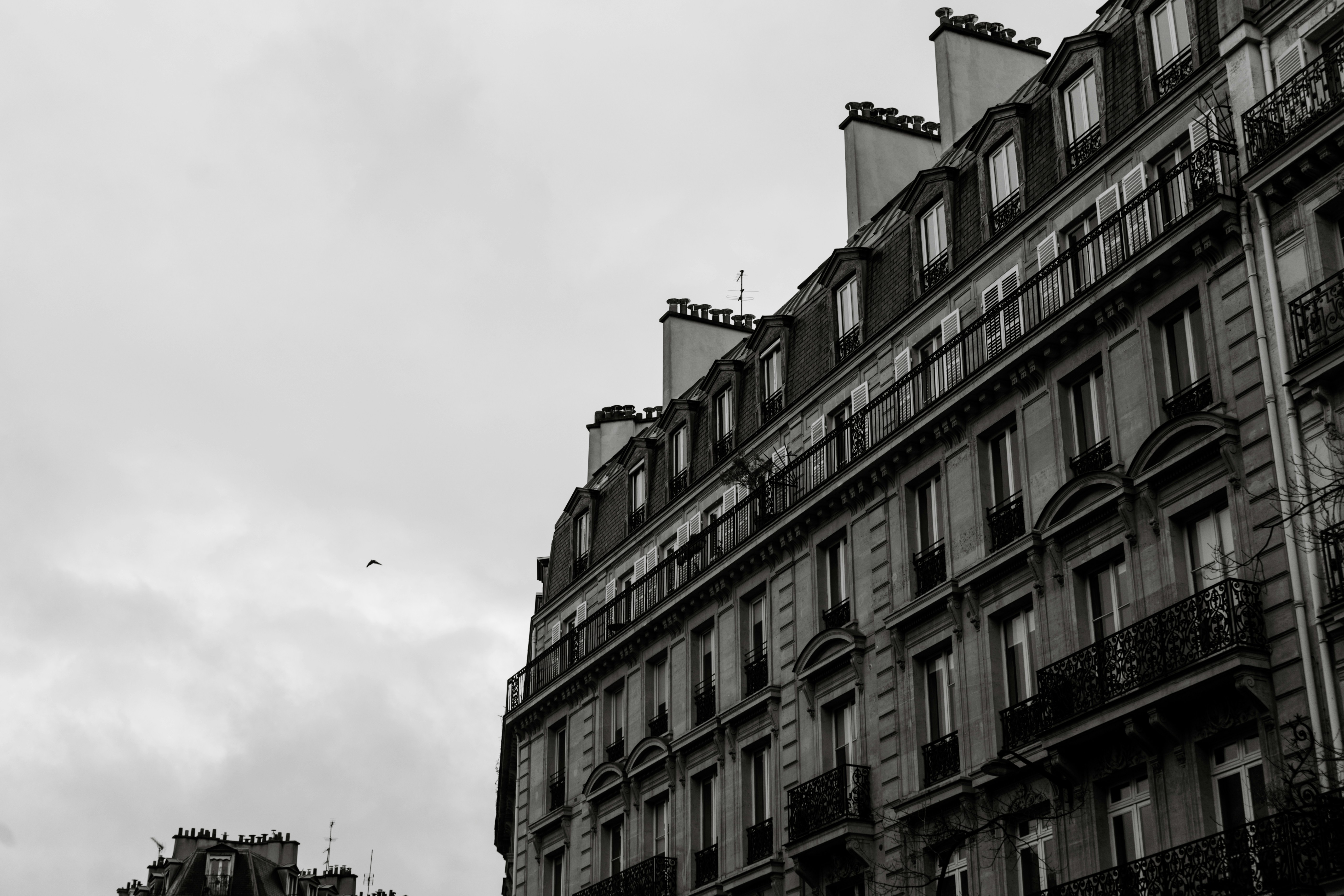 Photo by maxim_klimashin