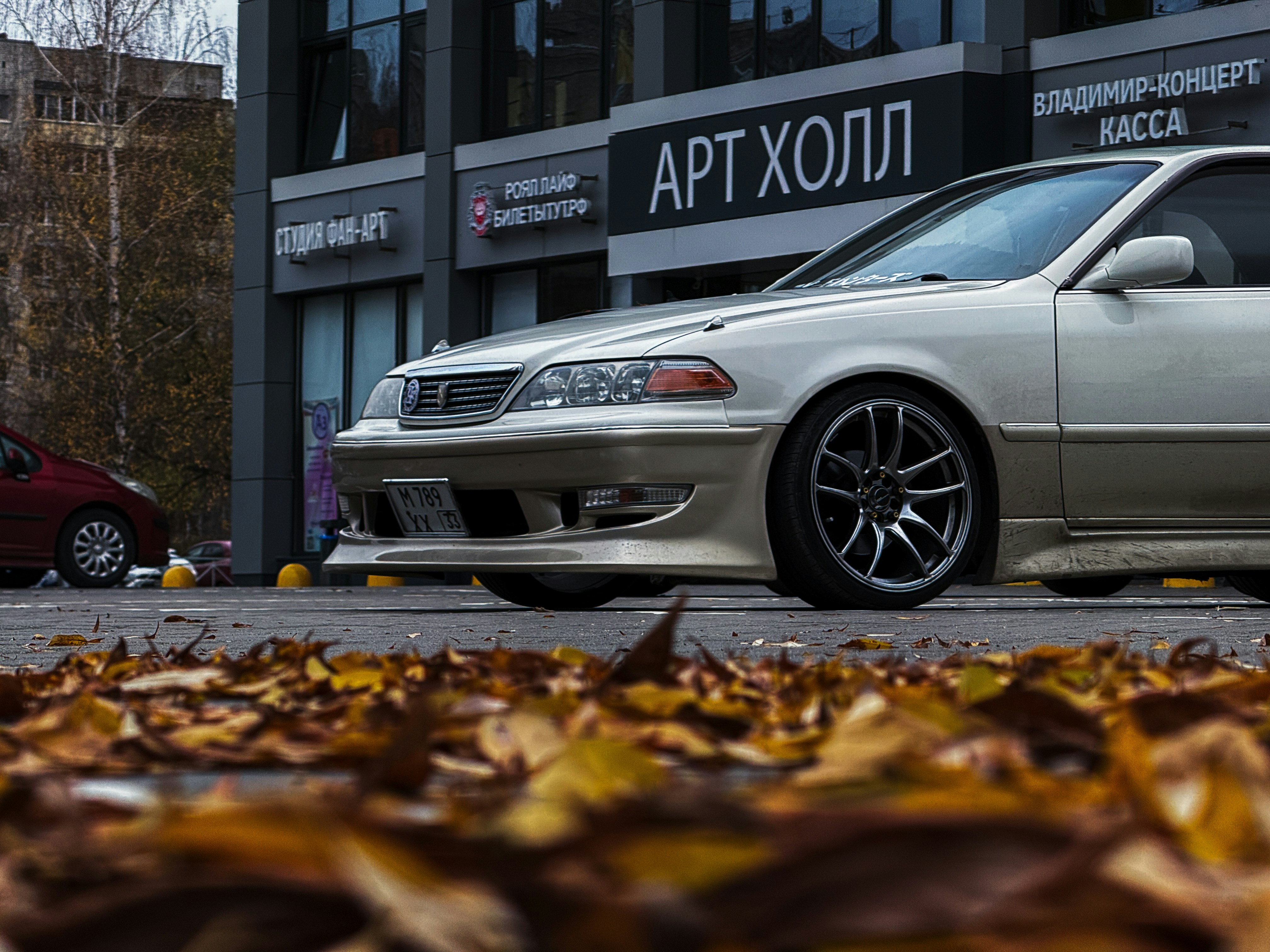White sedan parked near building with autumn leaves