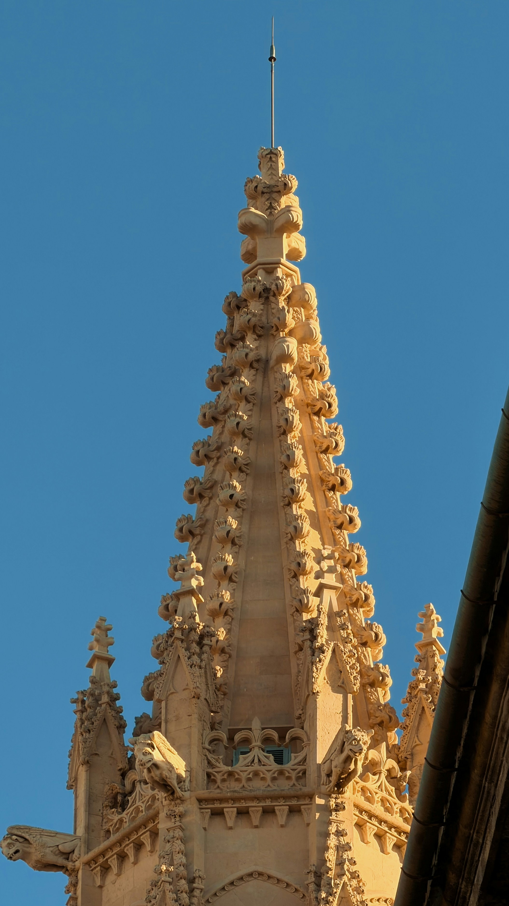 Photo by jelenrodriguez