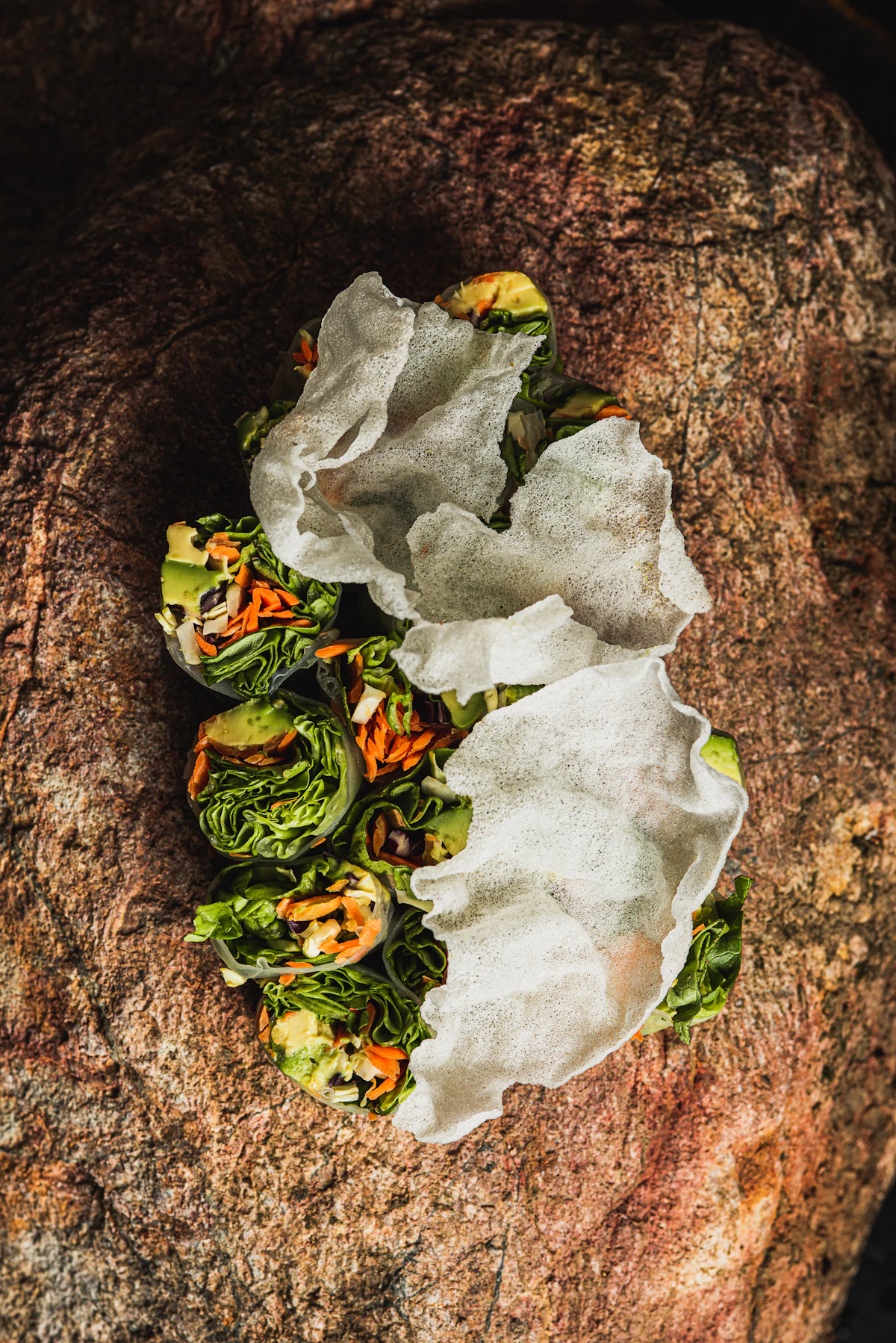Fresh spring rolls with vegetables and herbs, illustrating the Spring Rolls guide