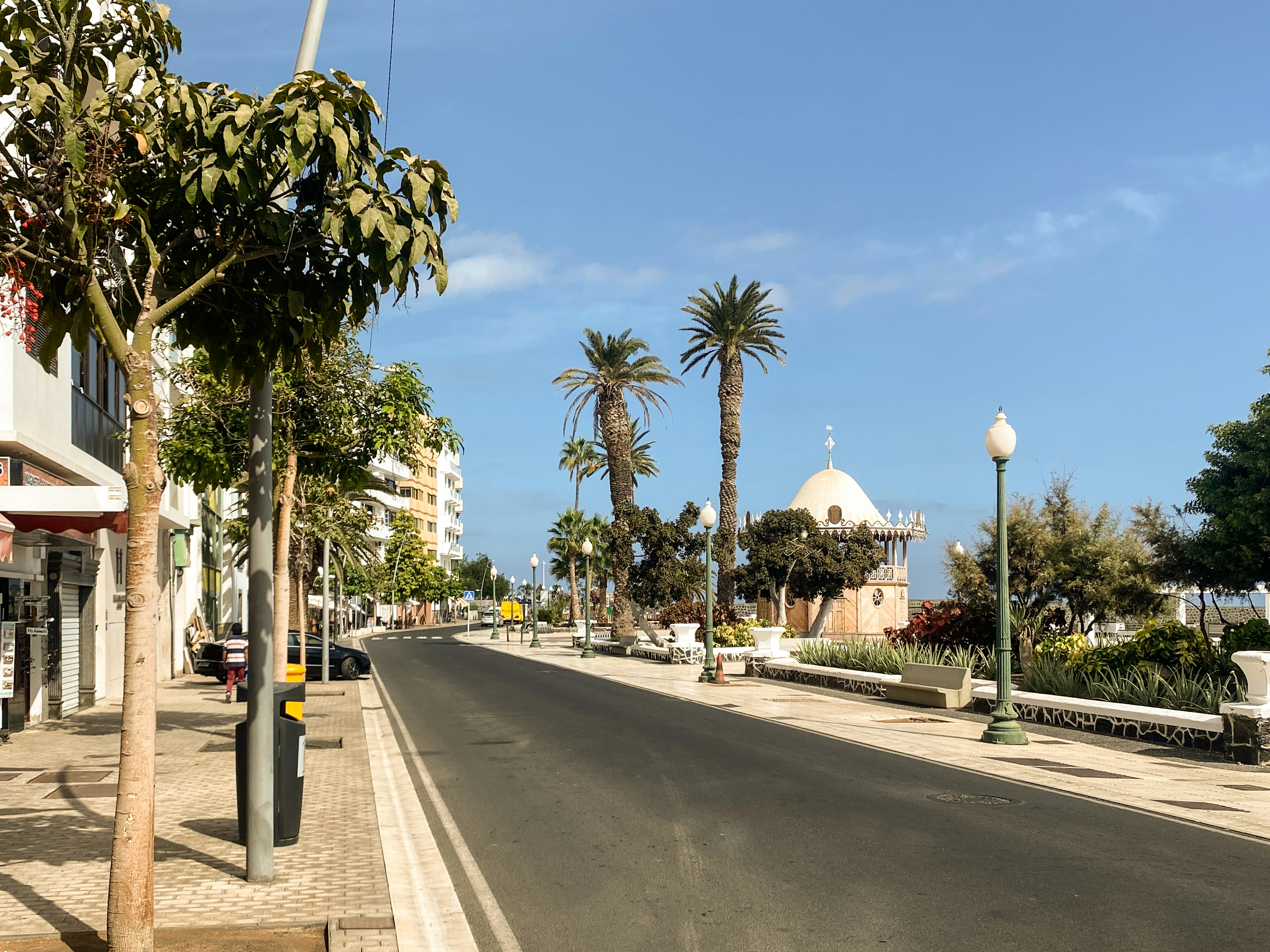 Street with palm trees and buildings under blue sky
