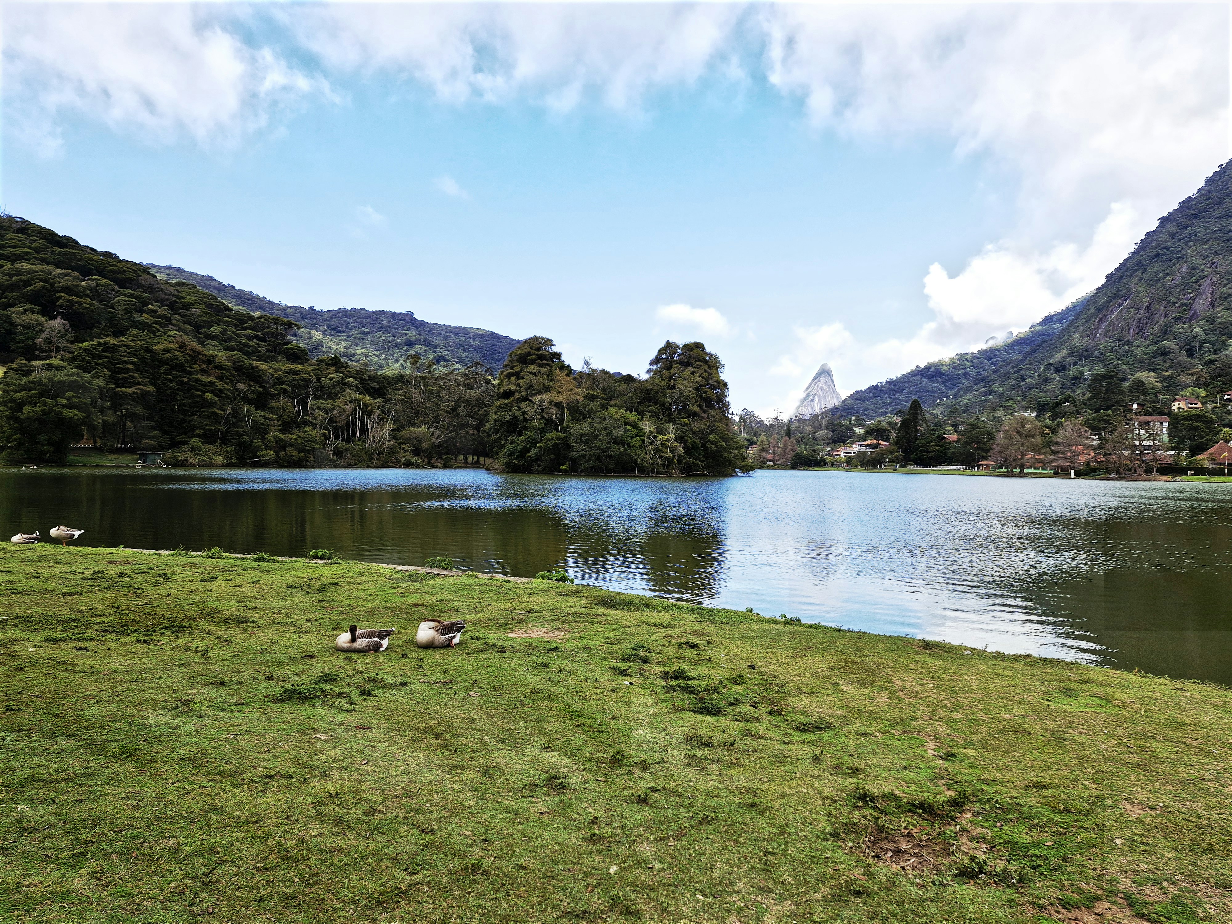 Photo by luizernesto2020