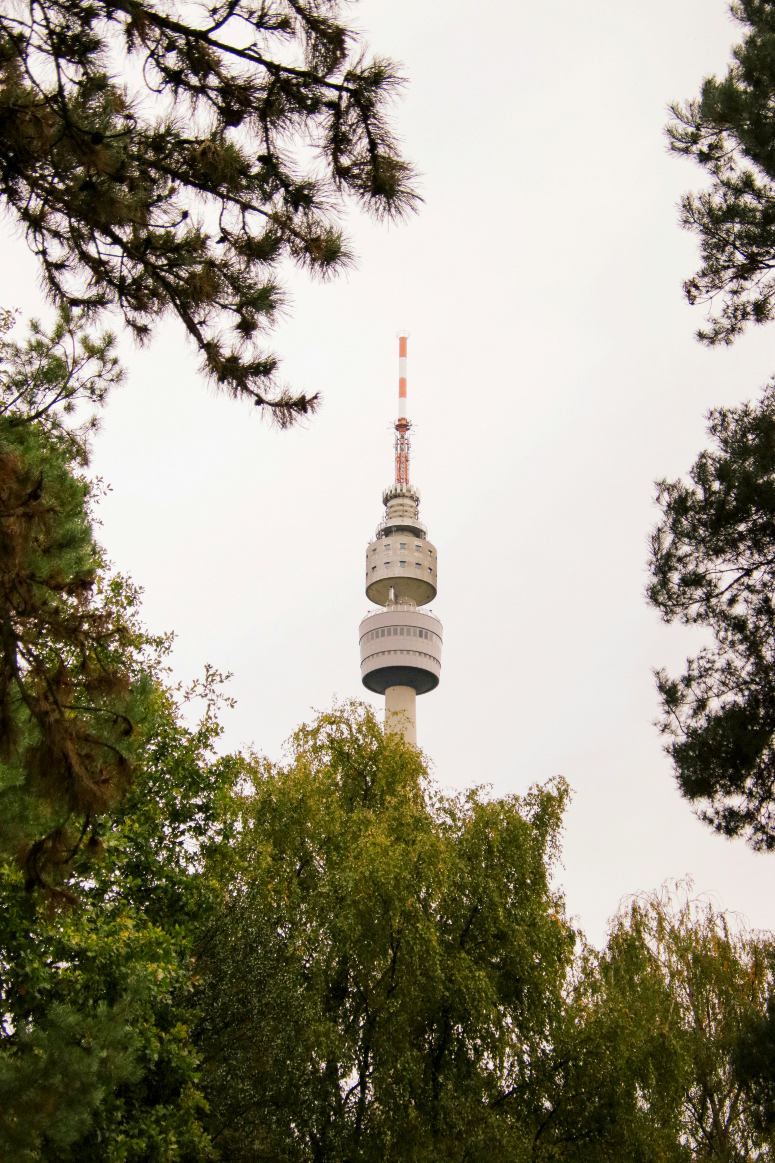 Tall broadcast tower framed by green trees