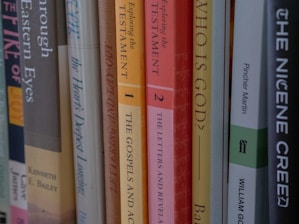 A row of books on a shelf.