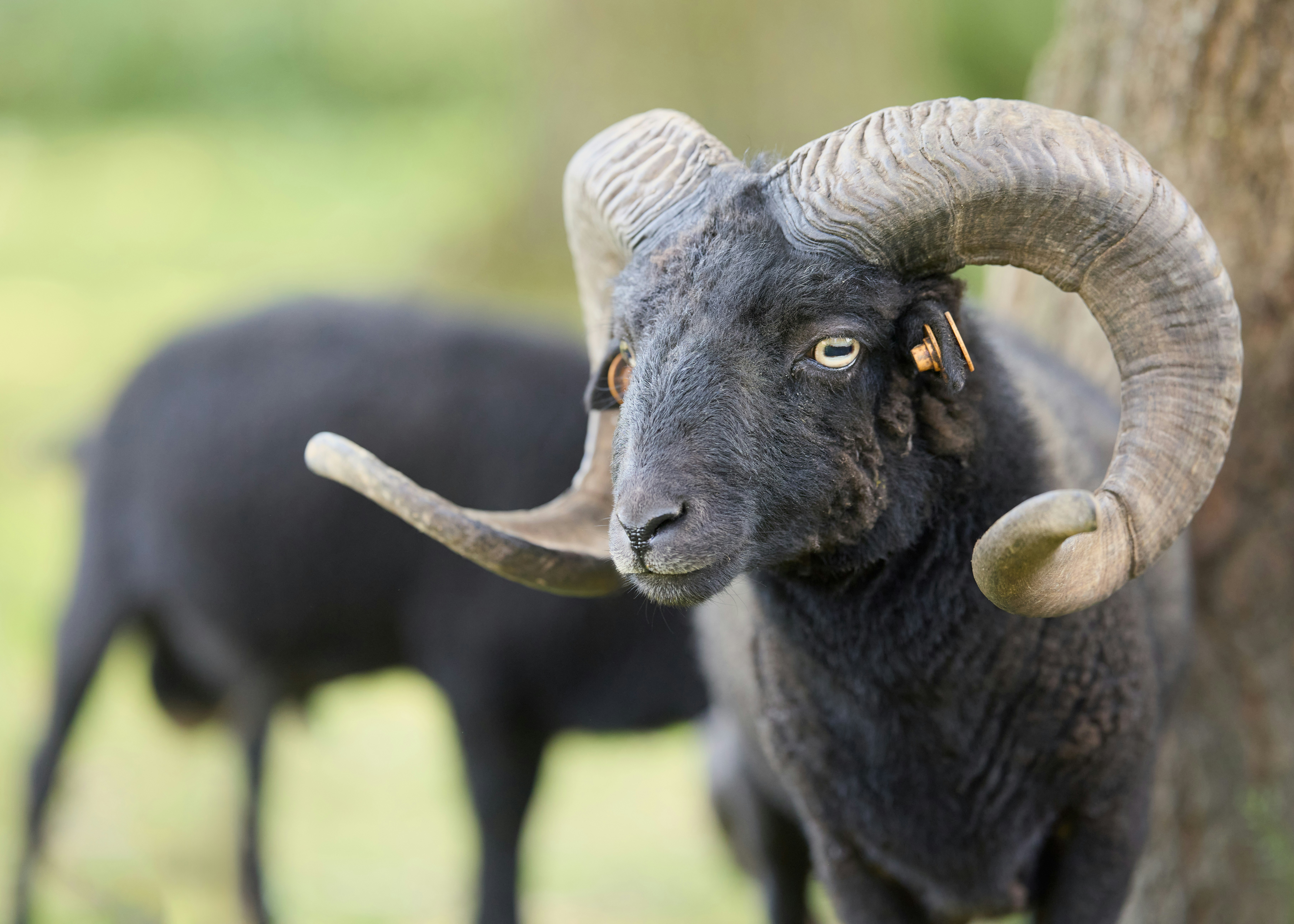 Photo by erwinbosman