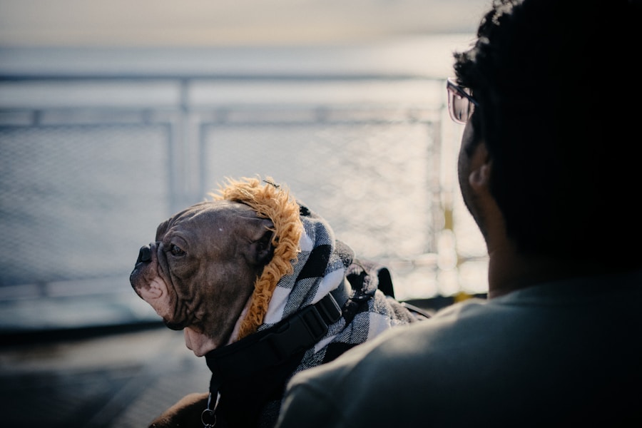 Taking Your Dog to Europe: Pet Passport, Ferry and Eurotunnel Guide