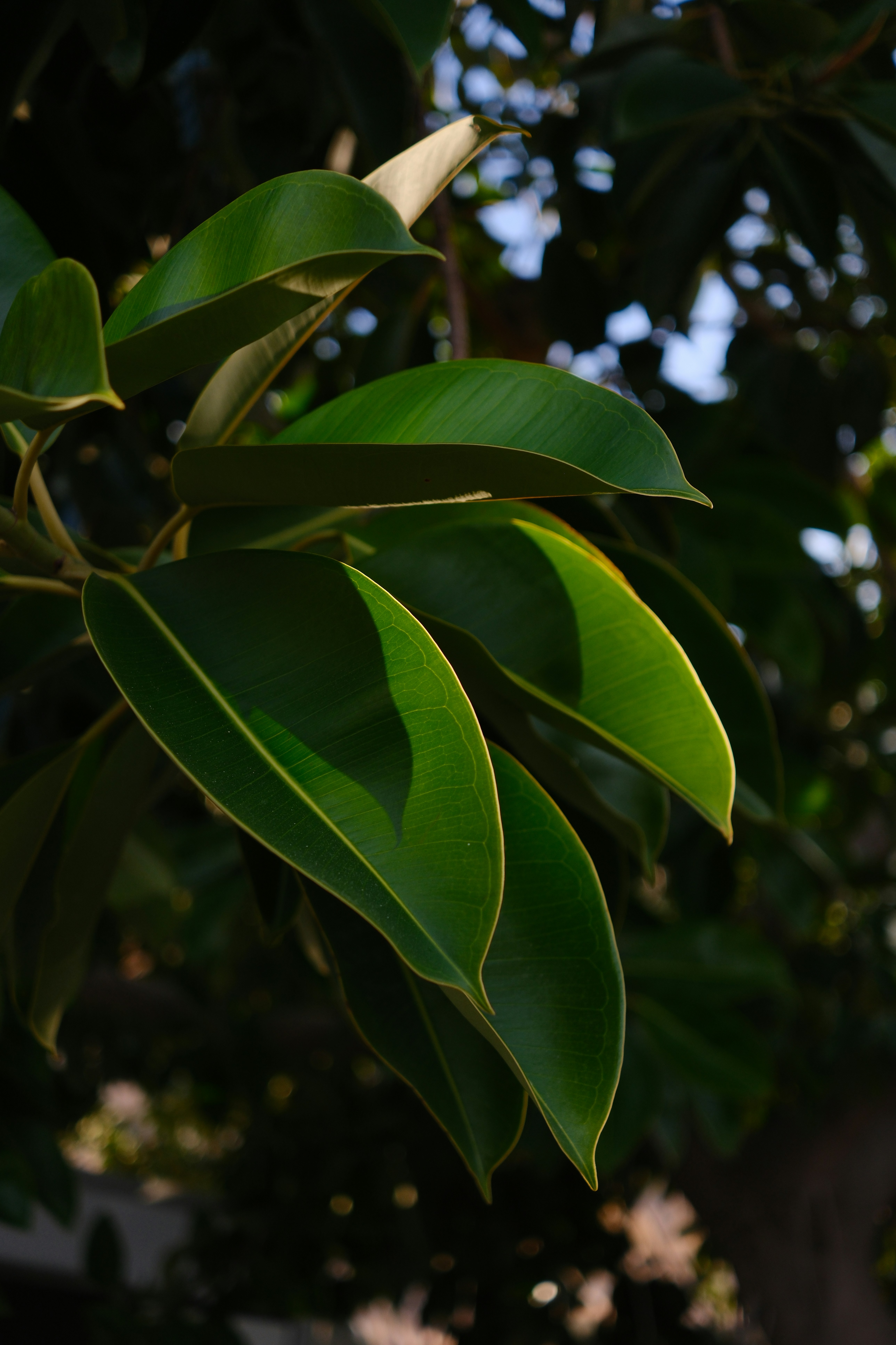 Photo by mrparalloid