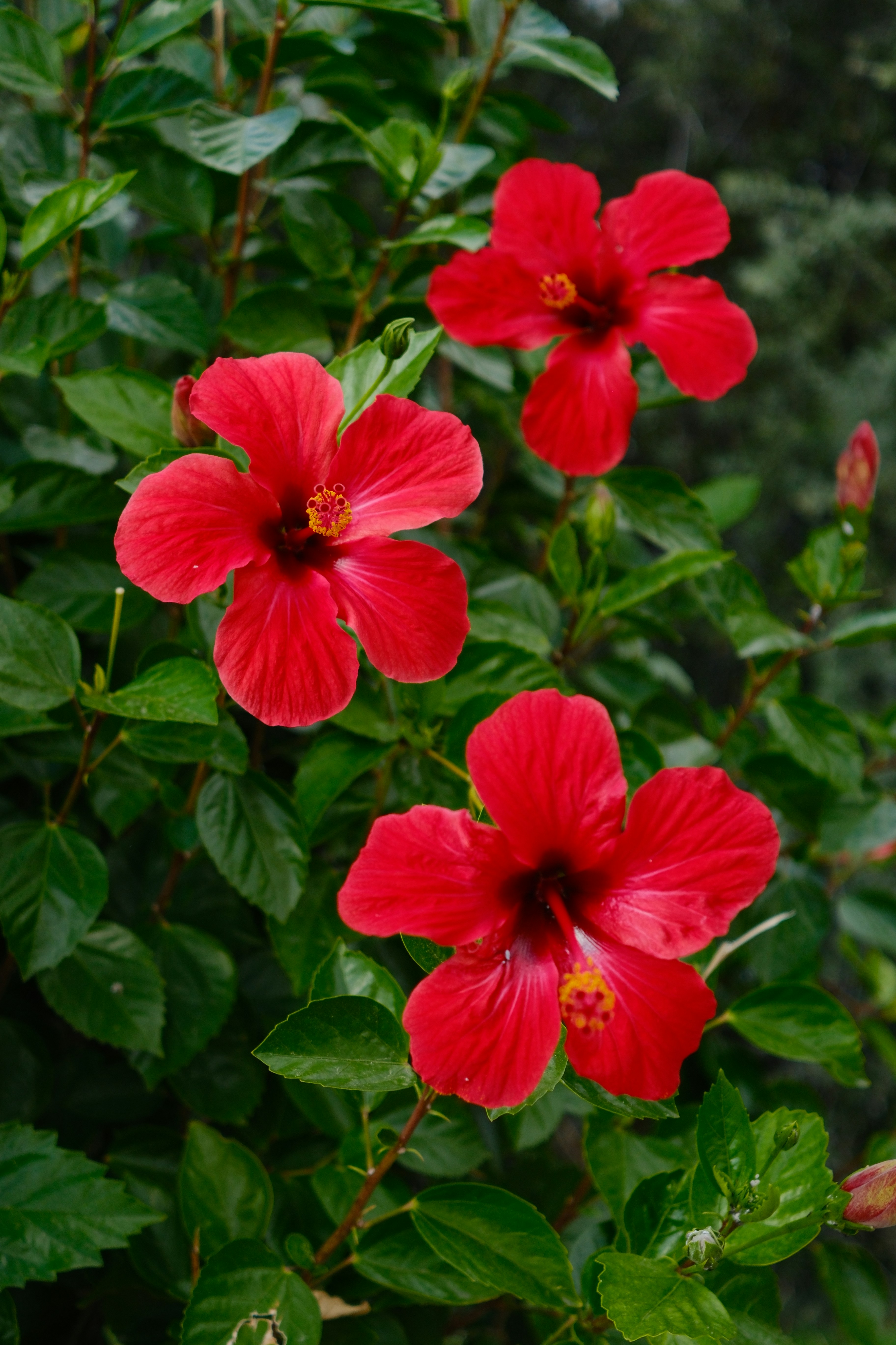 Photo by mrparalloid