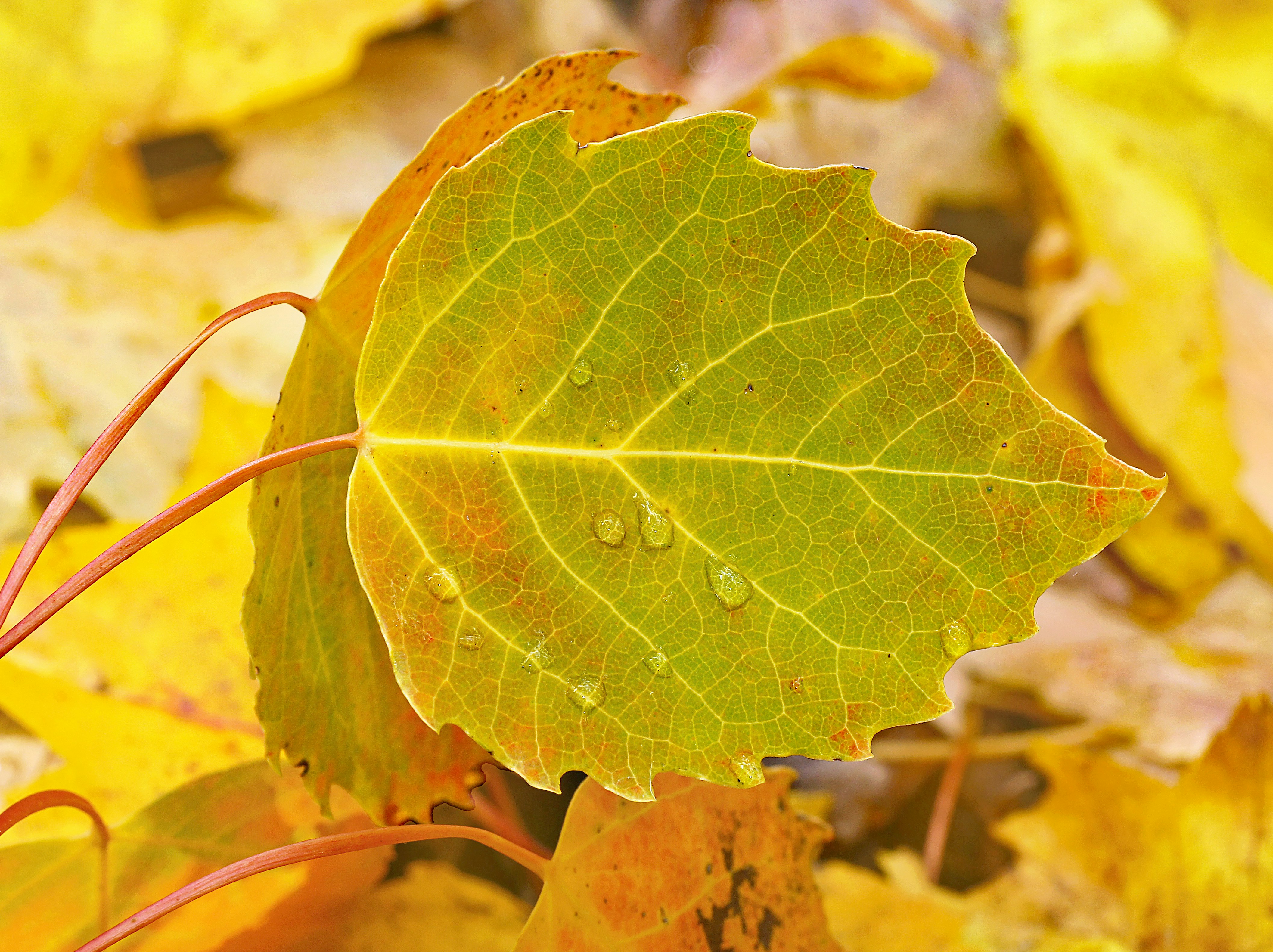 Photo by telliottmbamsc